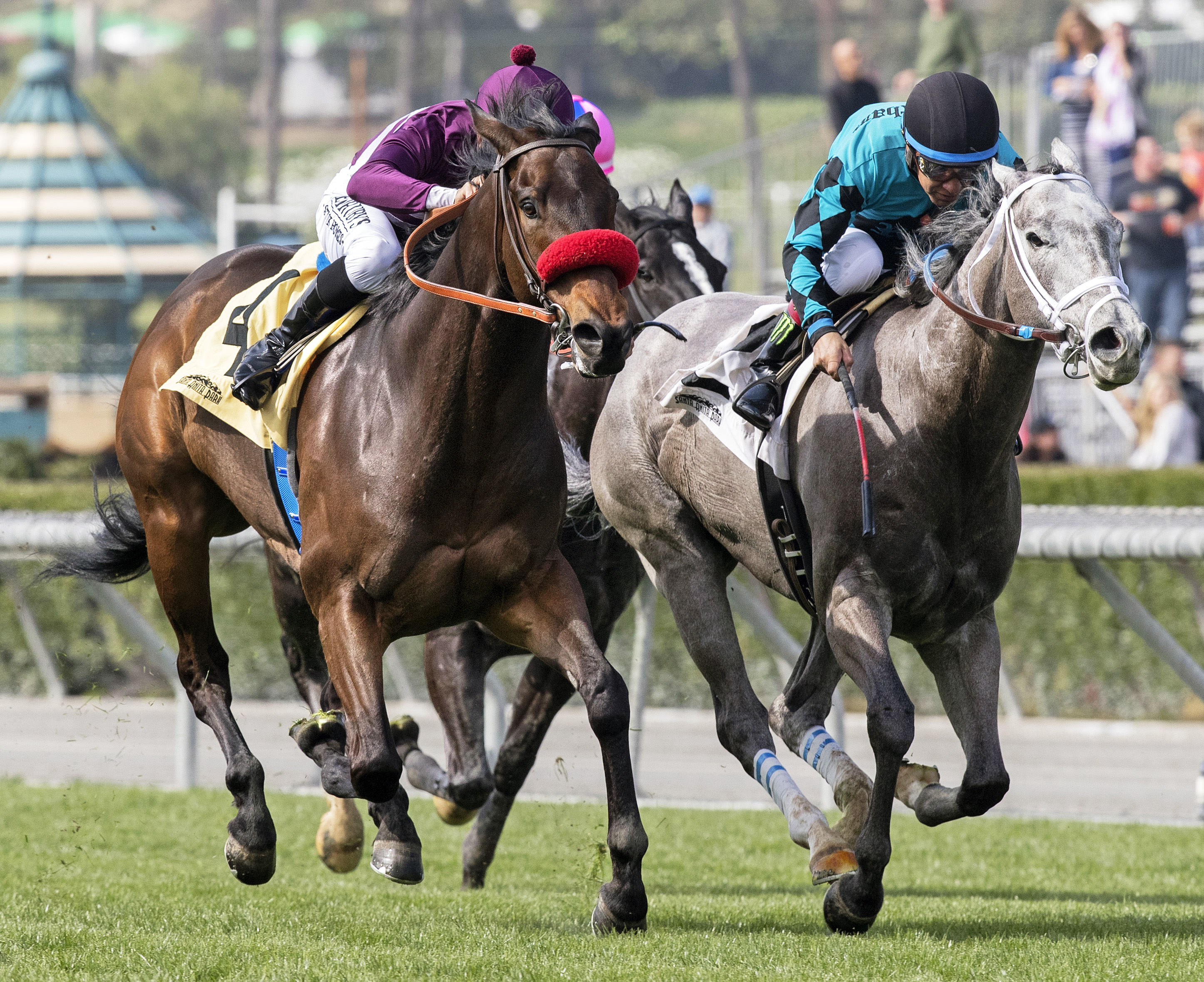 Ambitious Brew wins the Sensational Star Stakes