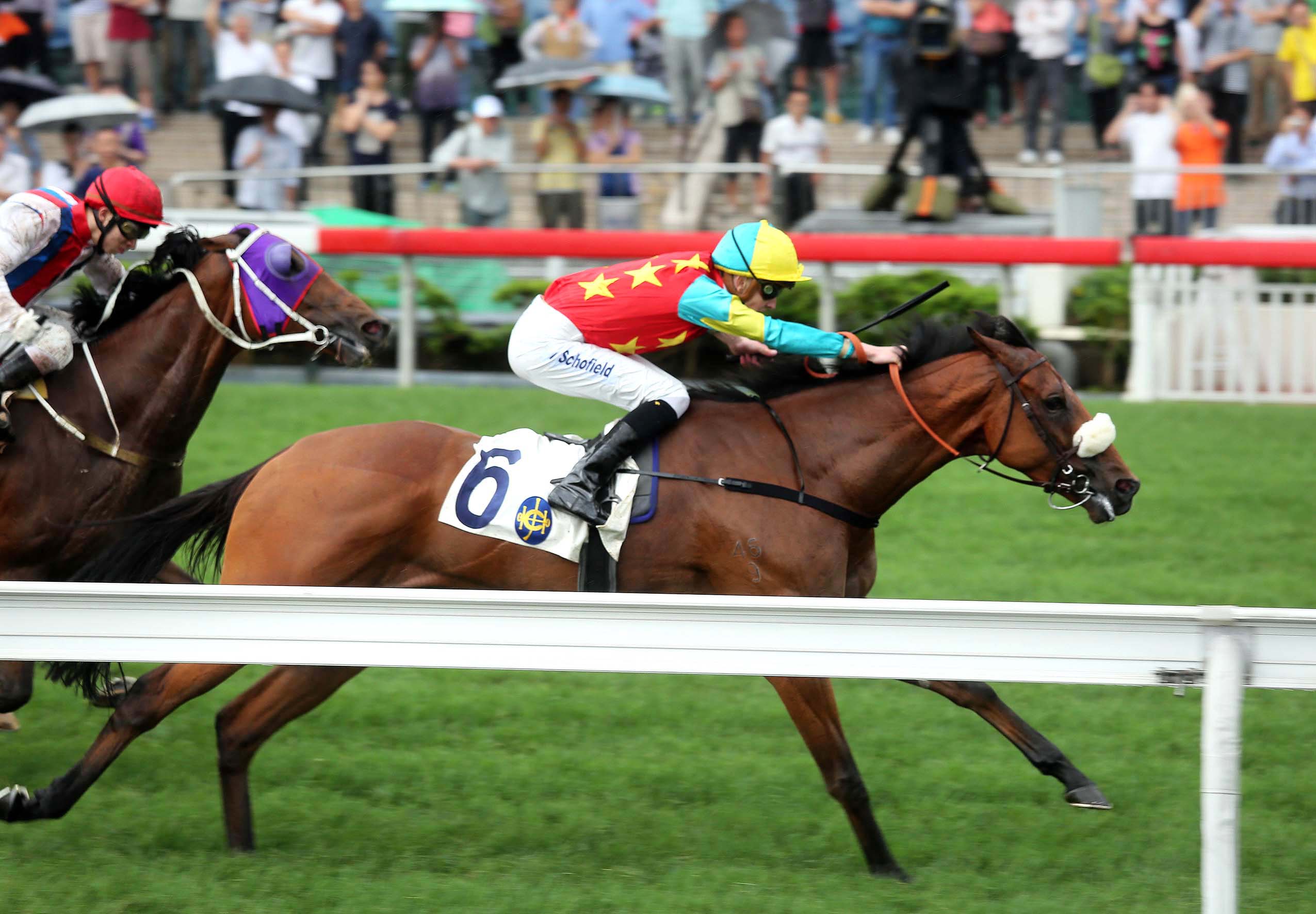 Ambitious Champion wins the Queen Mother Memorial Cup