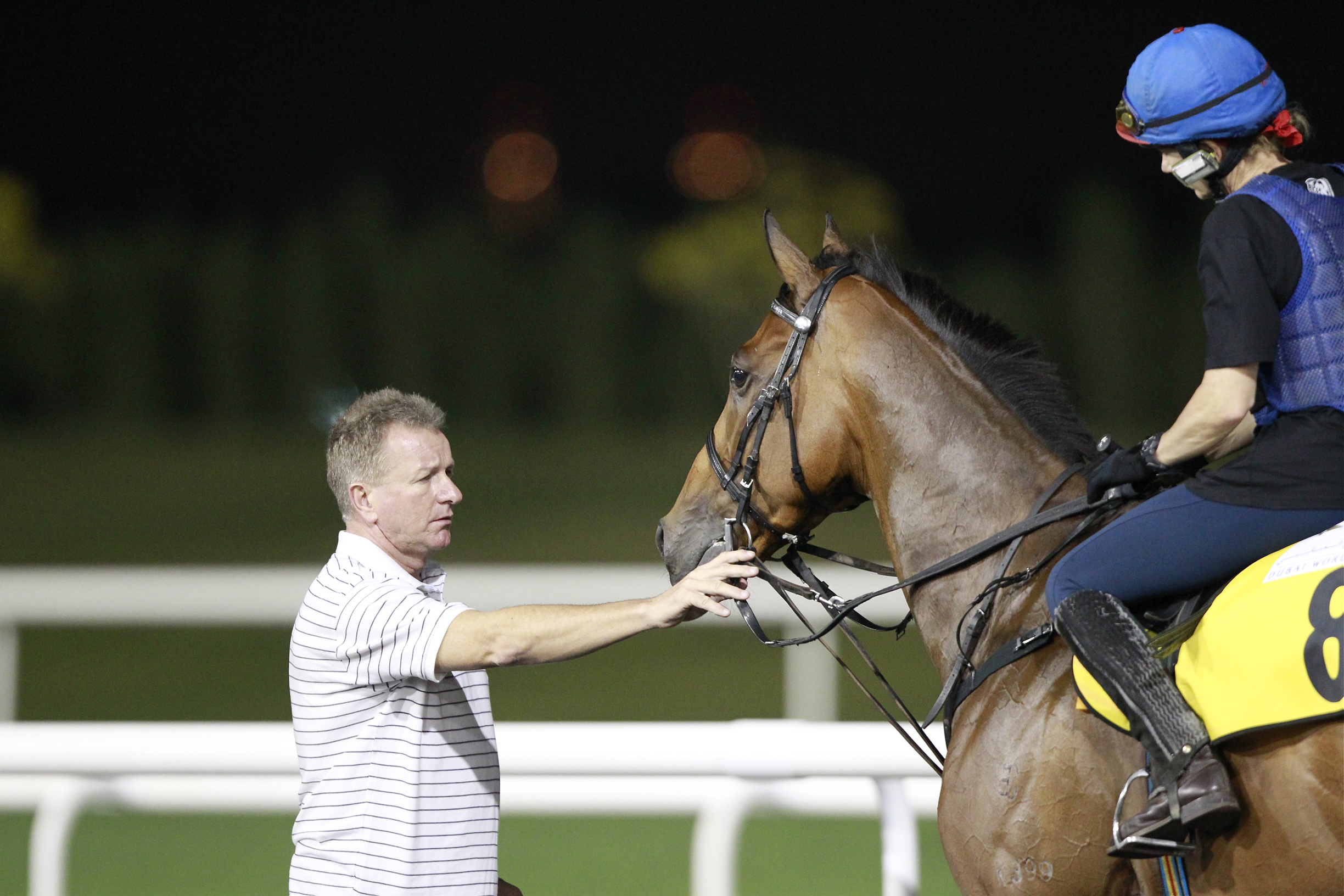 Ambitious Dragon/Tony Millard