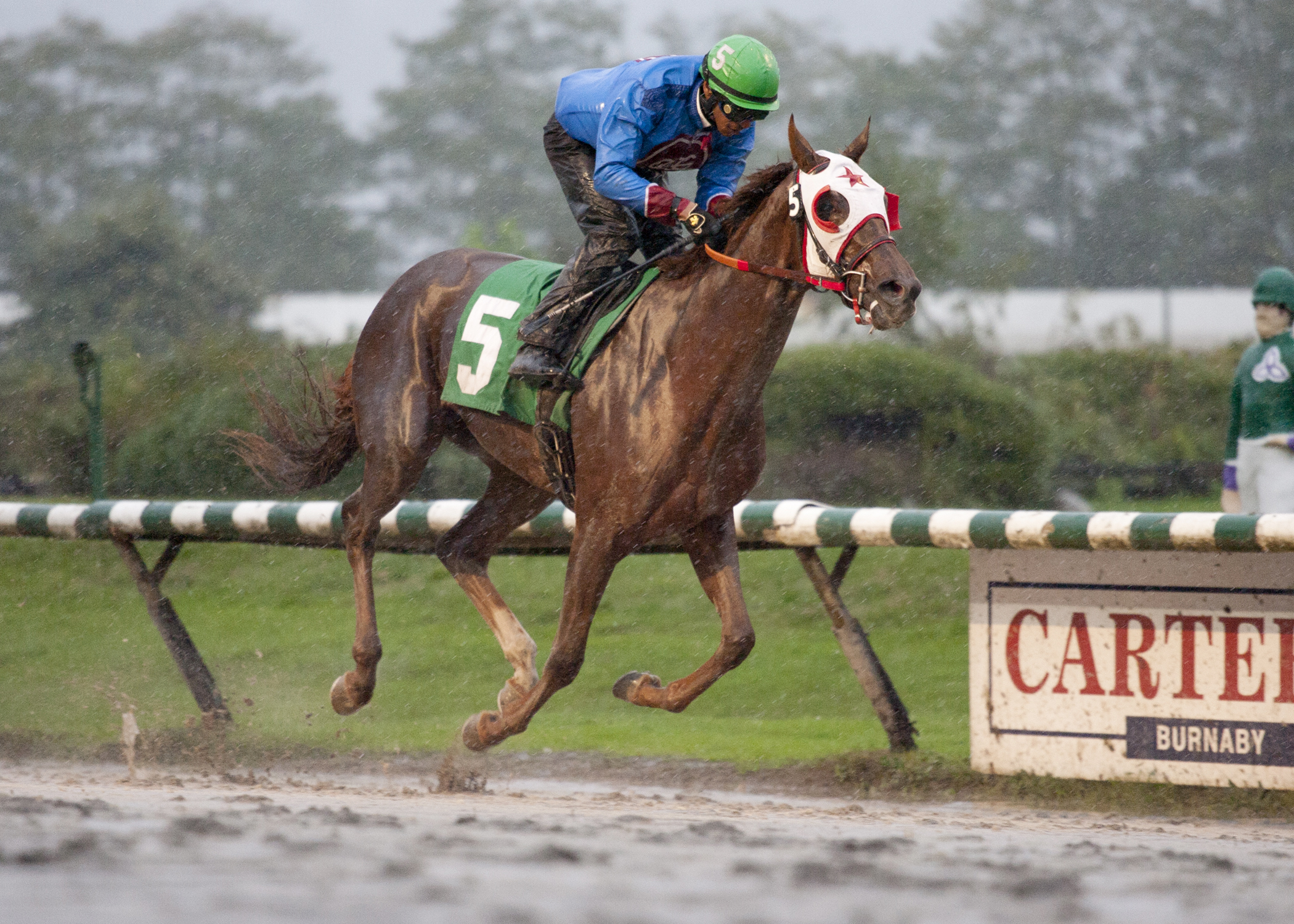 Ambleside Park wins the 2014 Fantasy Stakes