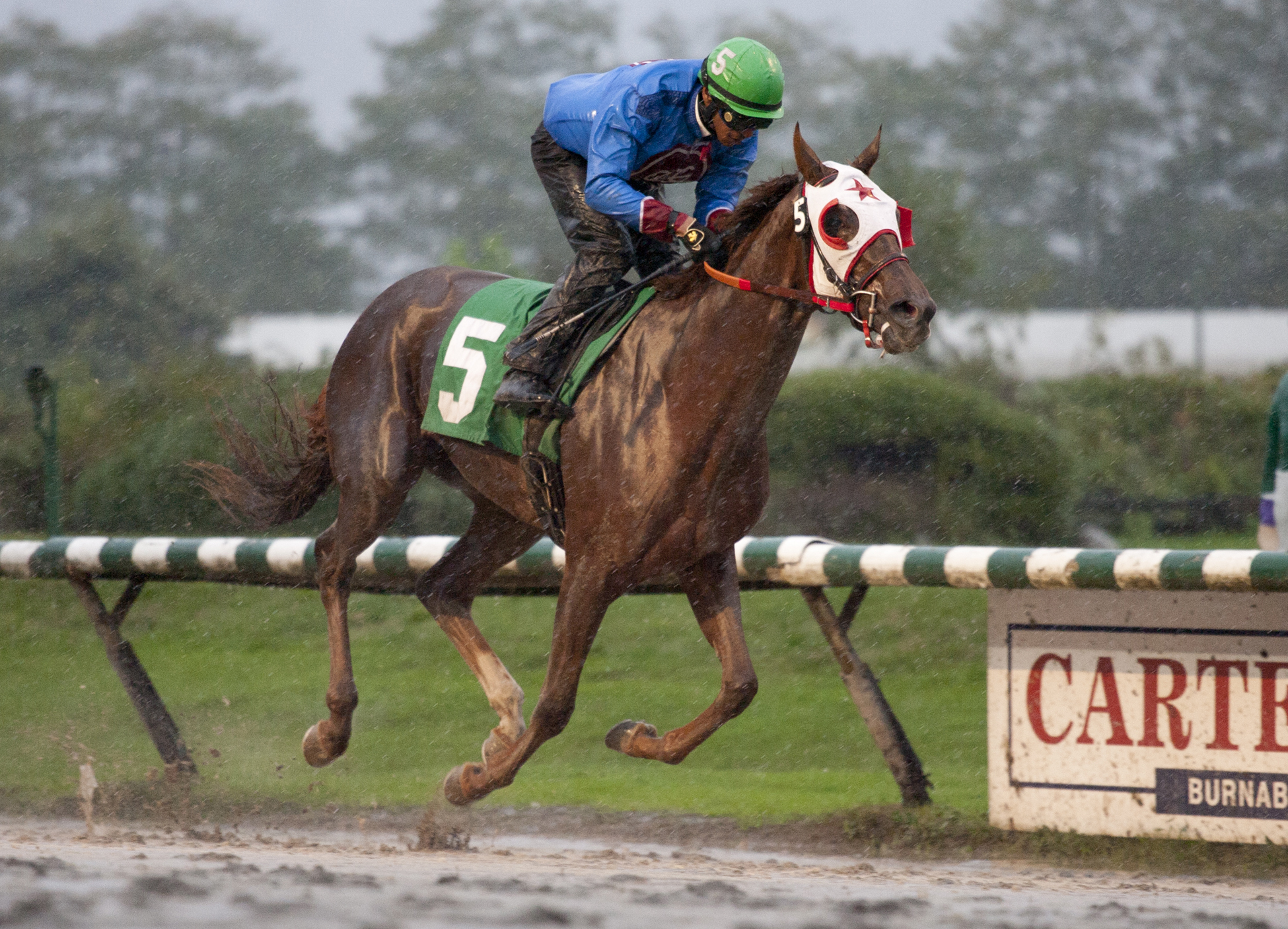 Ambleside Park wins the 2014 Fantasy Stakes