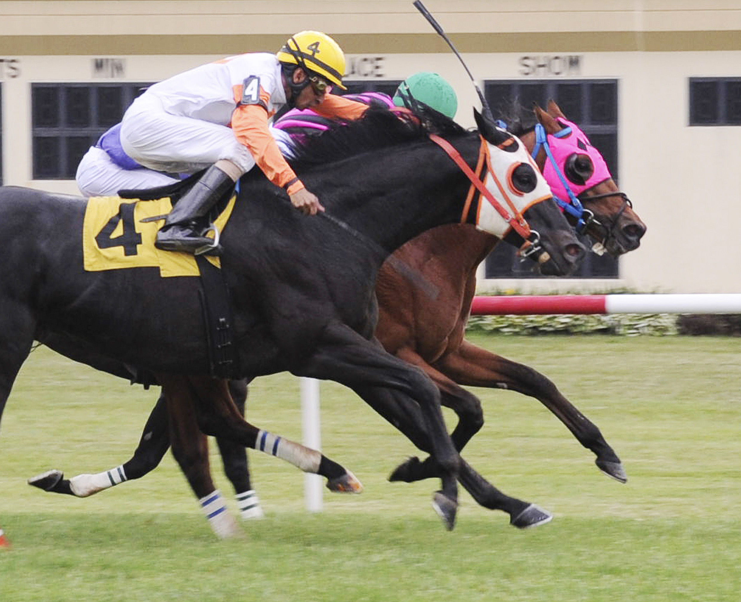 Amelia's Wild Ride wins the Pennsylvania Governor's Cup