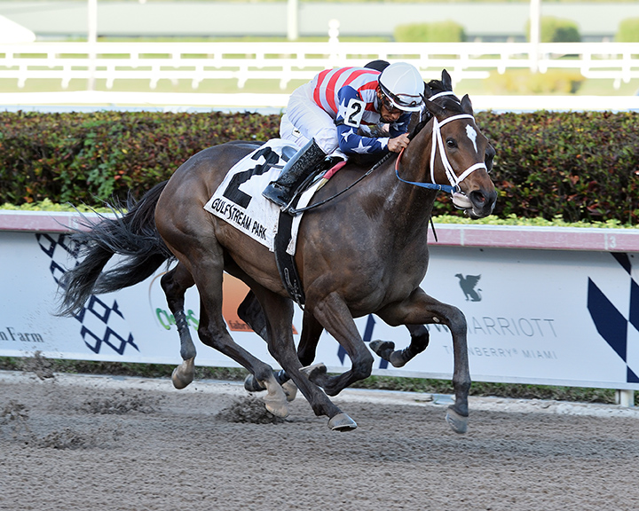 America's Tale wins the Inside Information Stakes at Gulfstream Park
