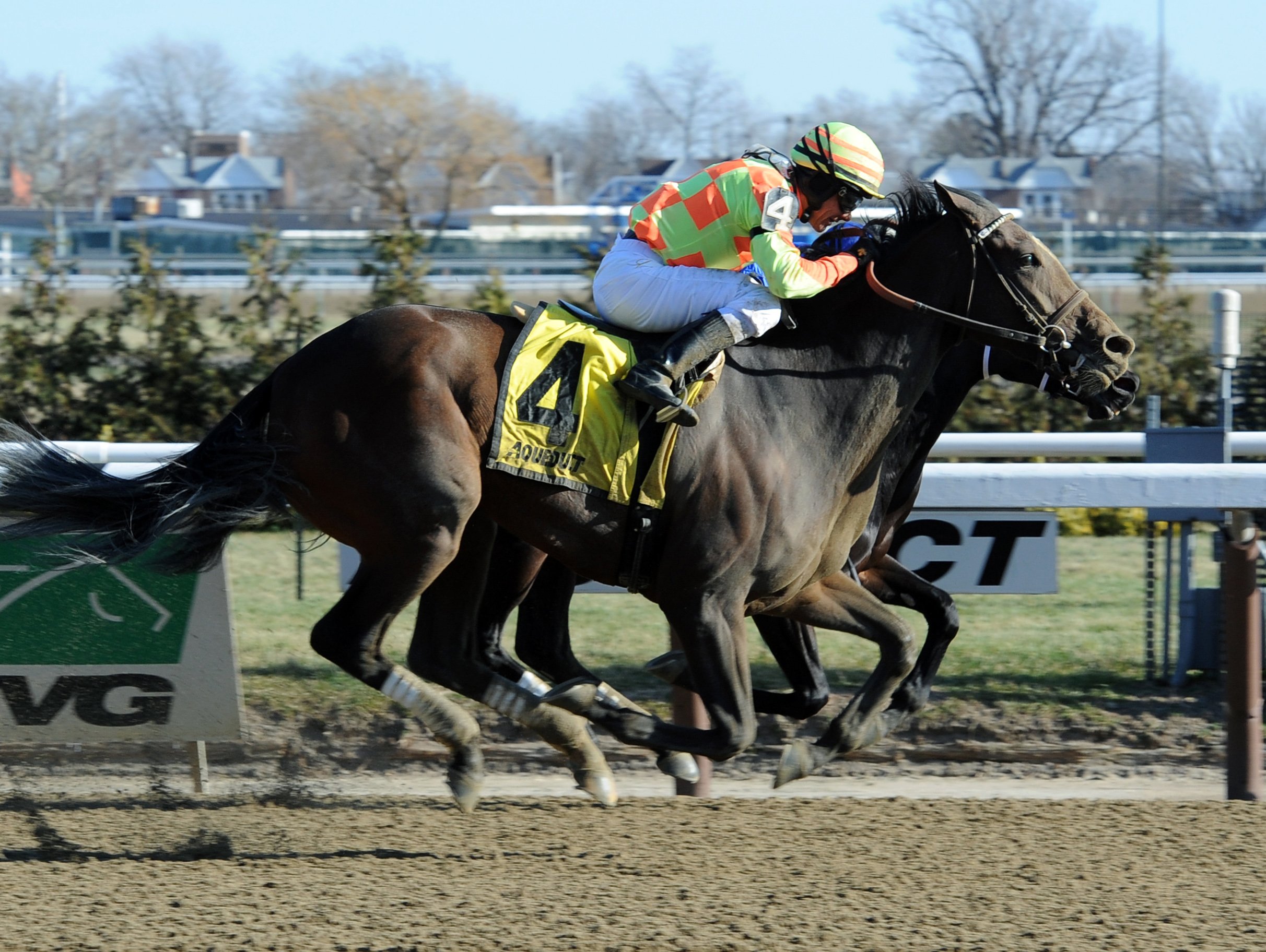 America wins the Affectionately Stakes