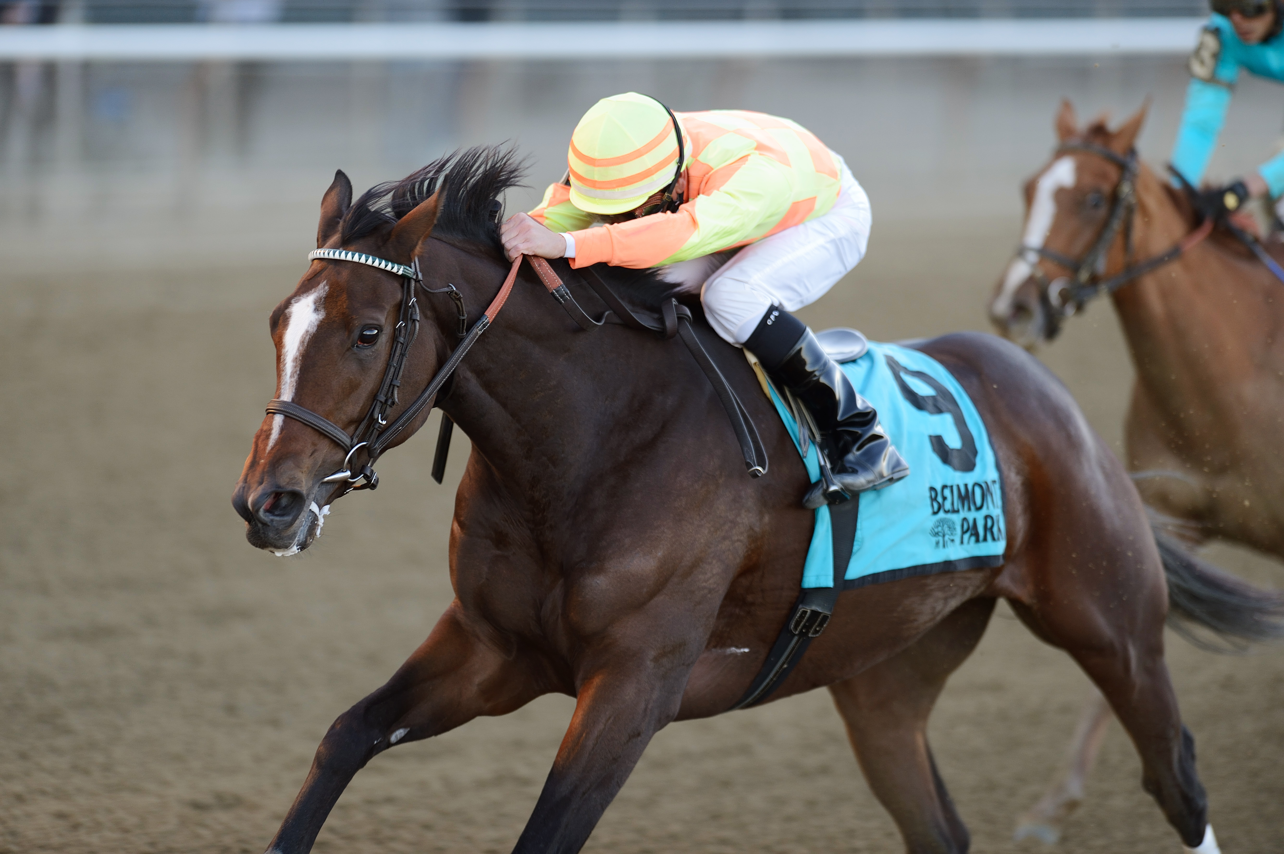 America takes charge to win Turnback the Alarm
