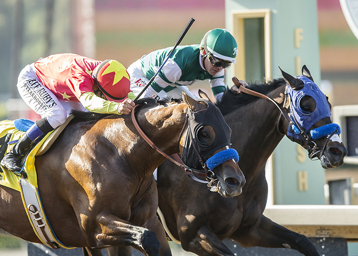 St. Joe Bay finishes second in the 2018 San Carlos Stakes