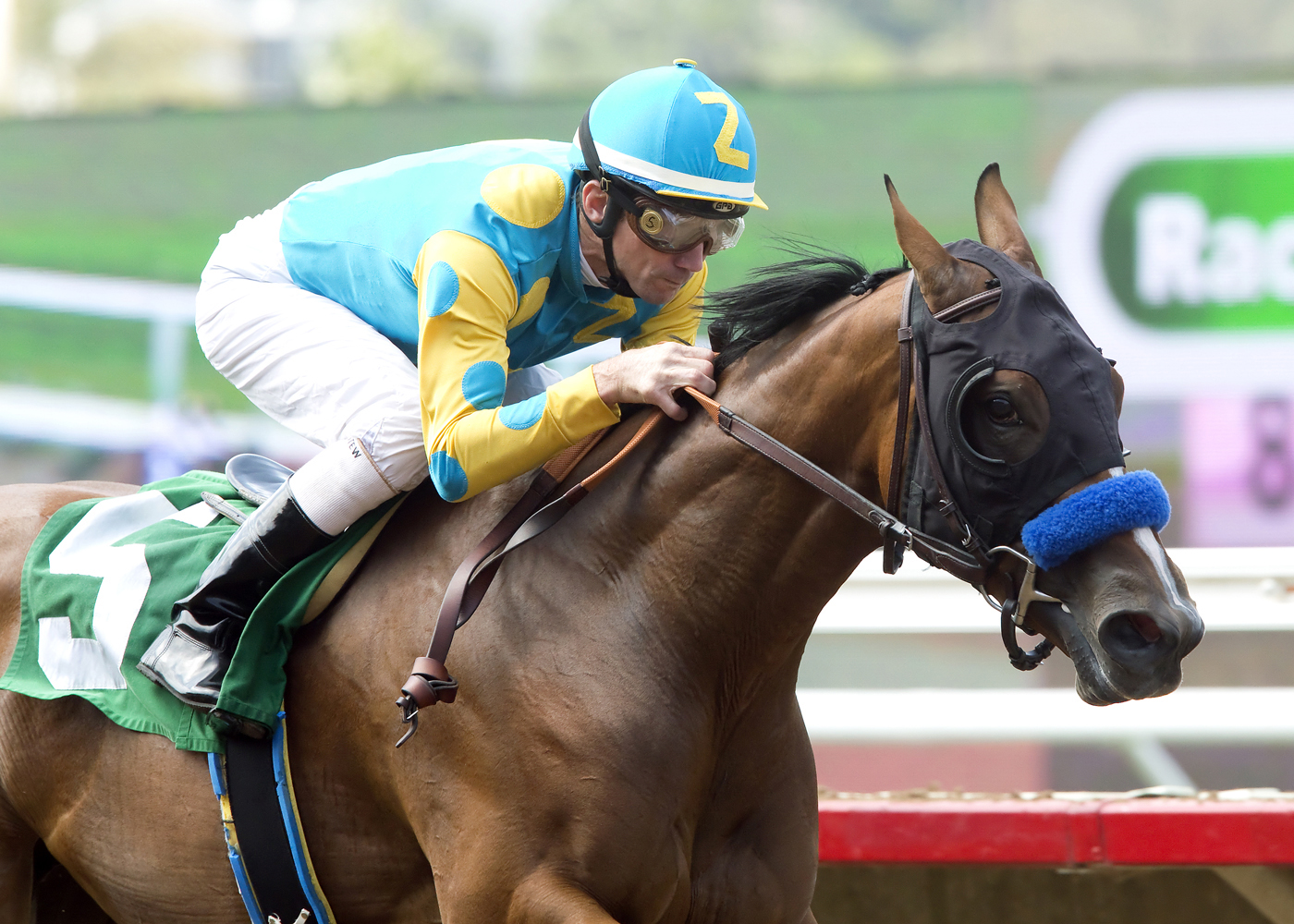 American Cleopatra wins her racing debut