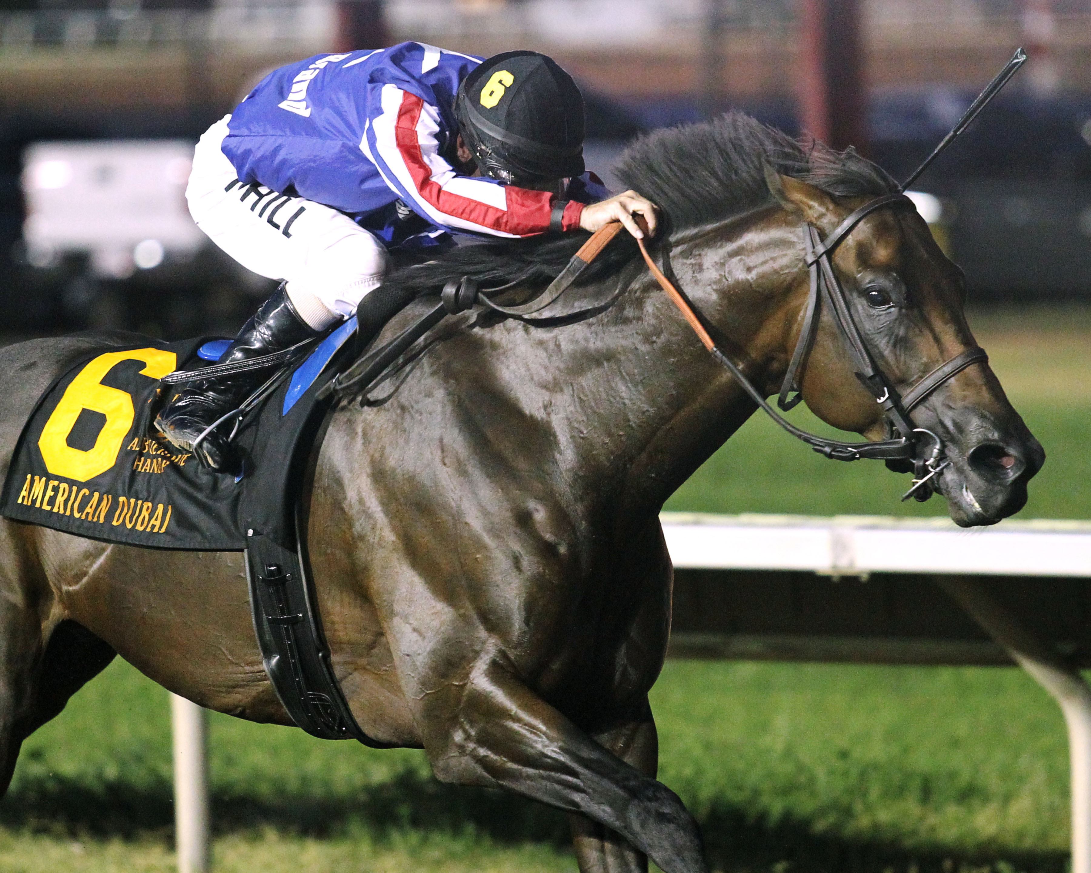 American Dubai wins the 2017 Downs at Albuquerque Handicap