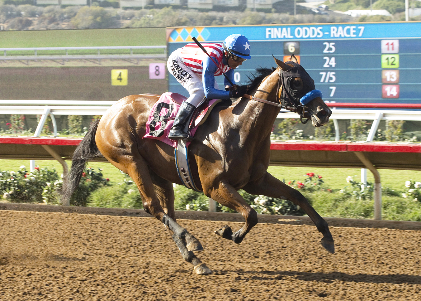 American Gal wins a maiden race at Del Mar