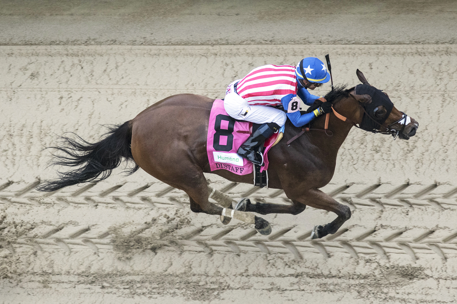 American Gal wins the 2018 Humana Distaff