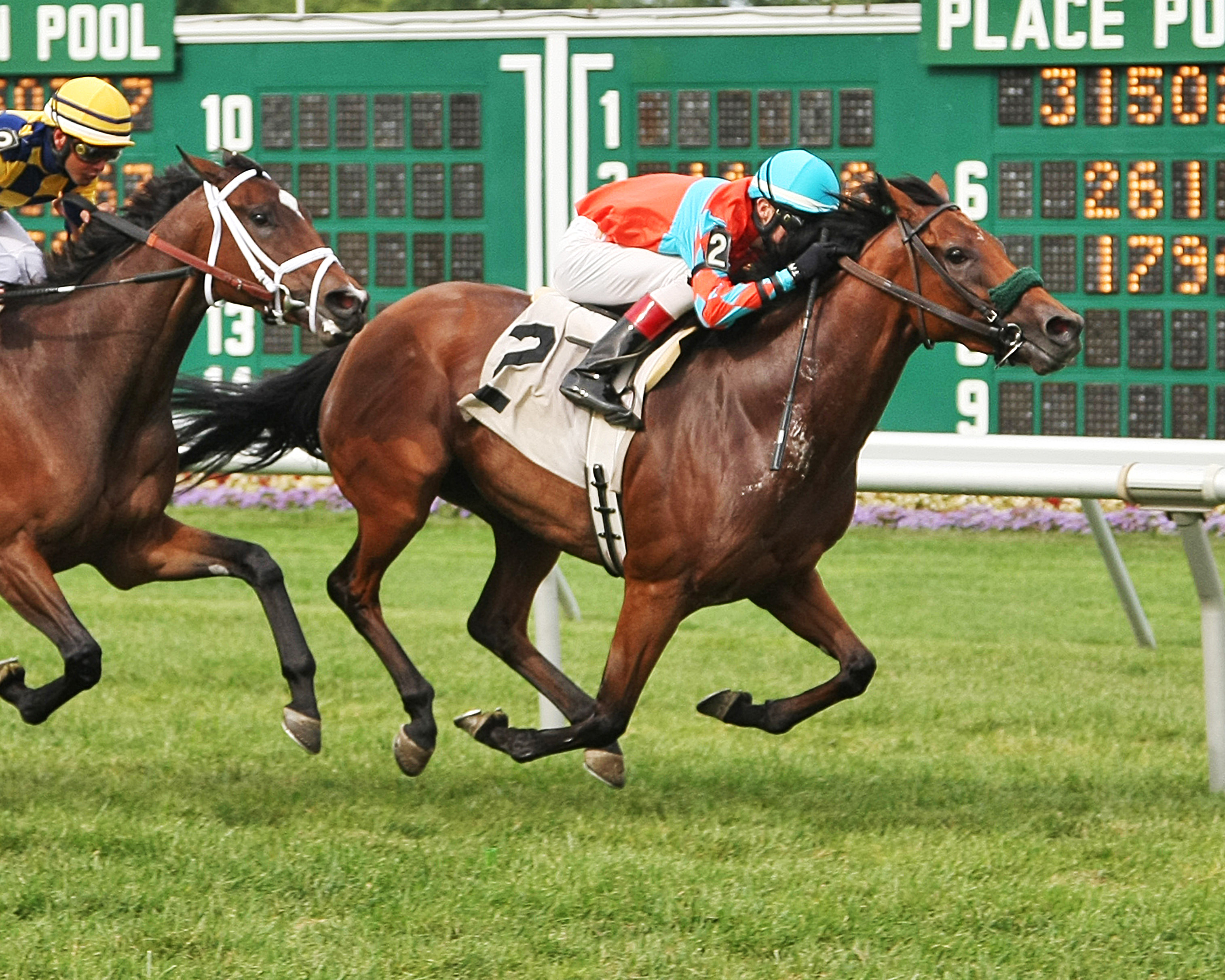 American Girl wins a claiming race