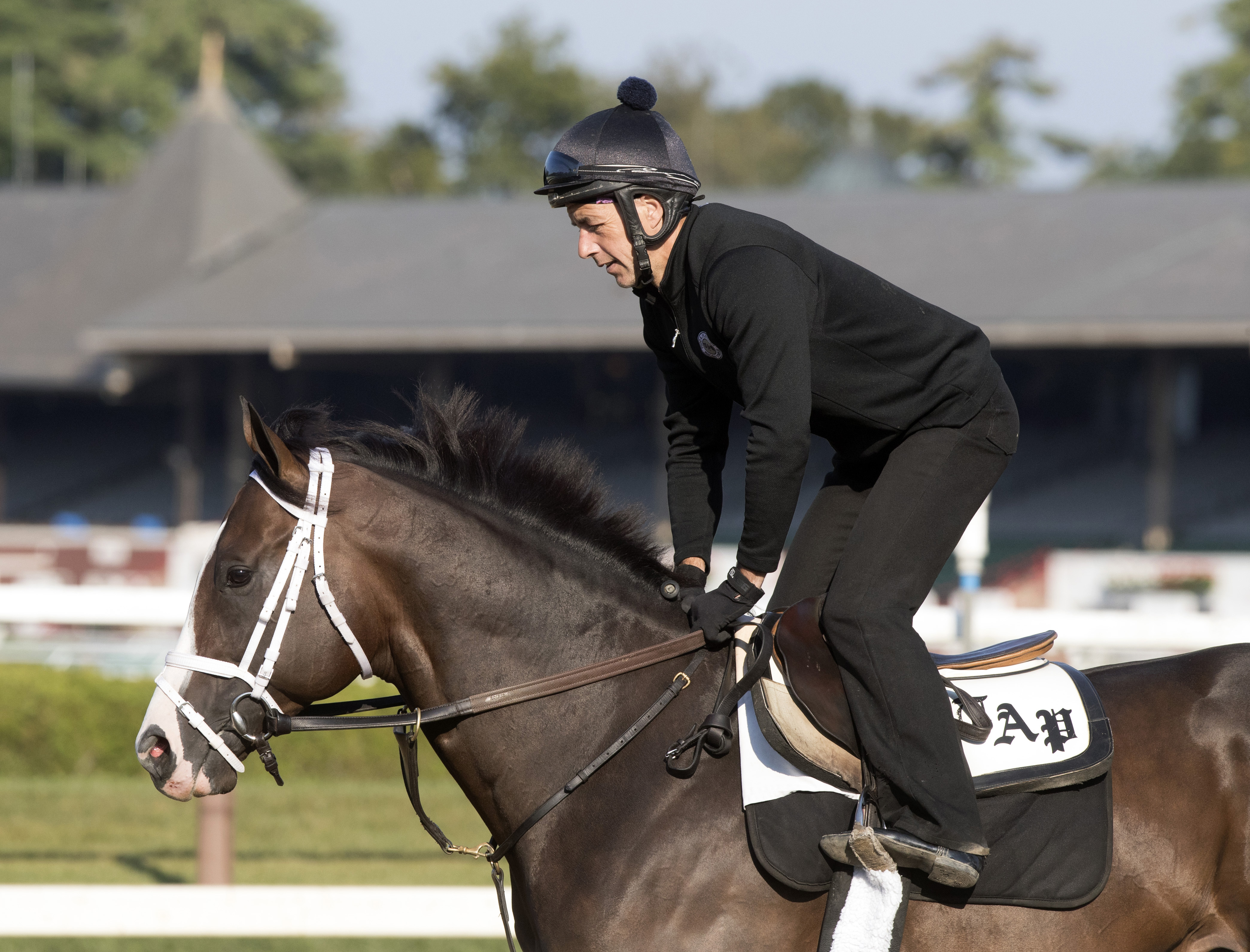 American Patriot trains at Saratoga on Aug. 9