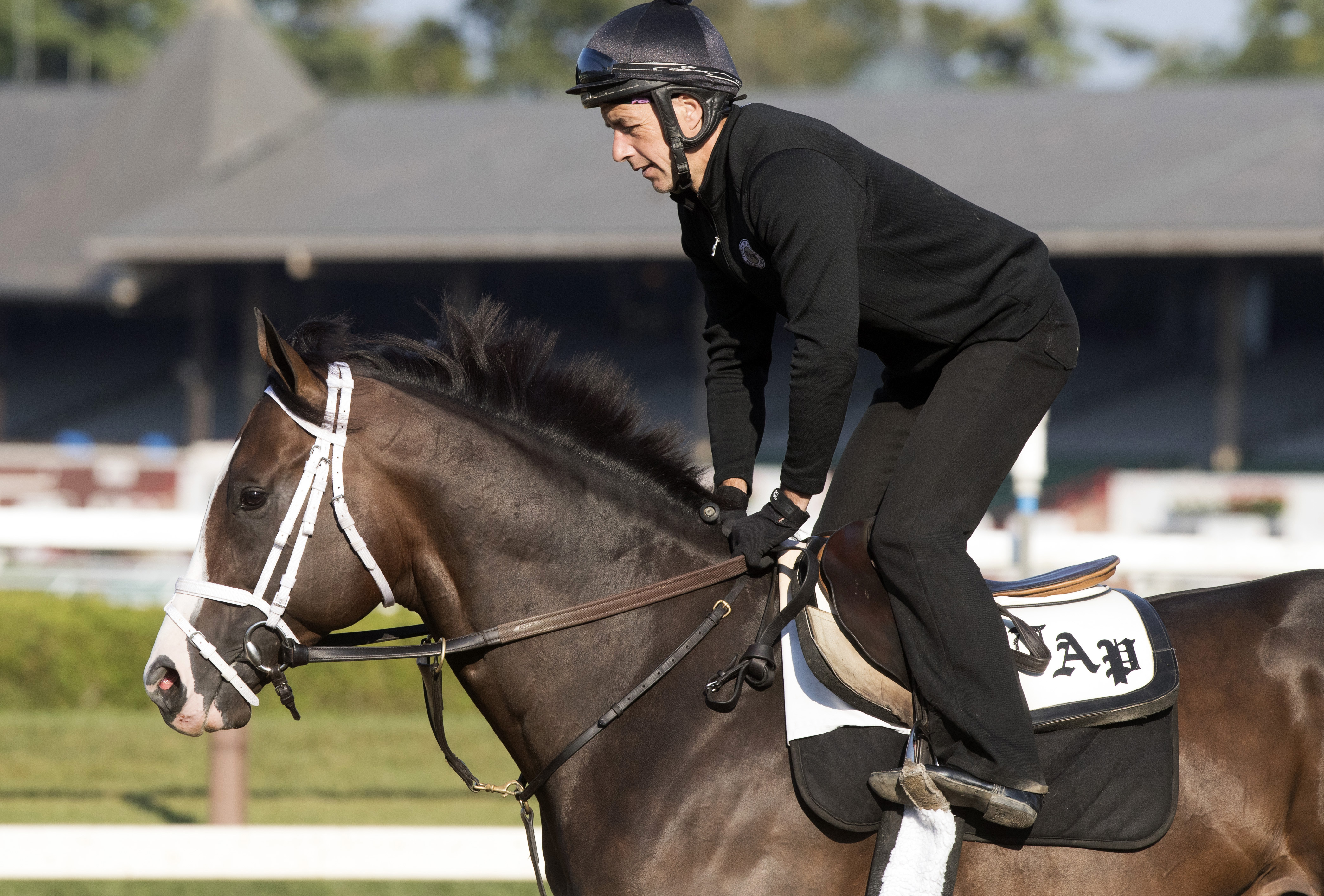 American Patriot at Saratoga on Aug. 9
