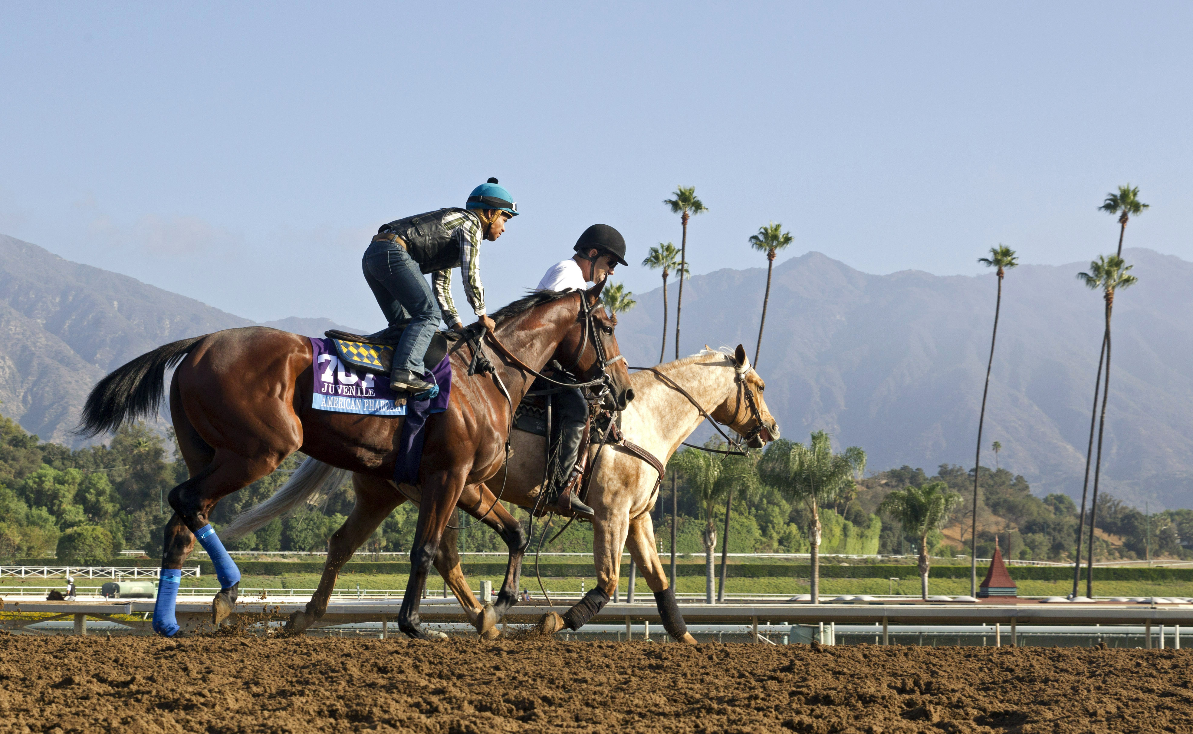 American Pharoah at Santa Anita on Oct. 26