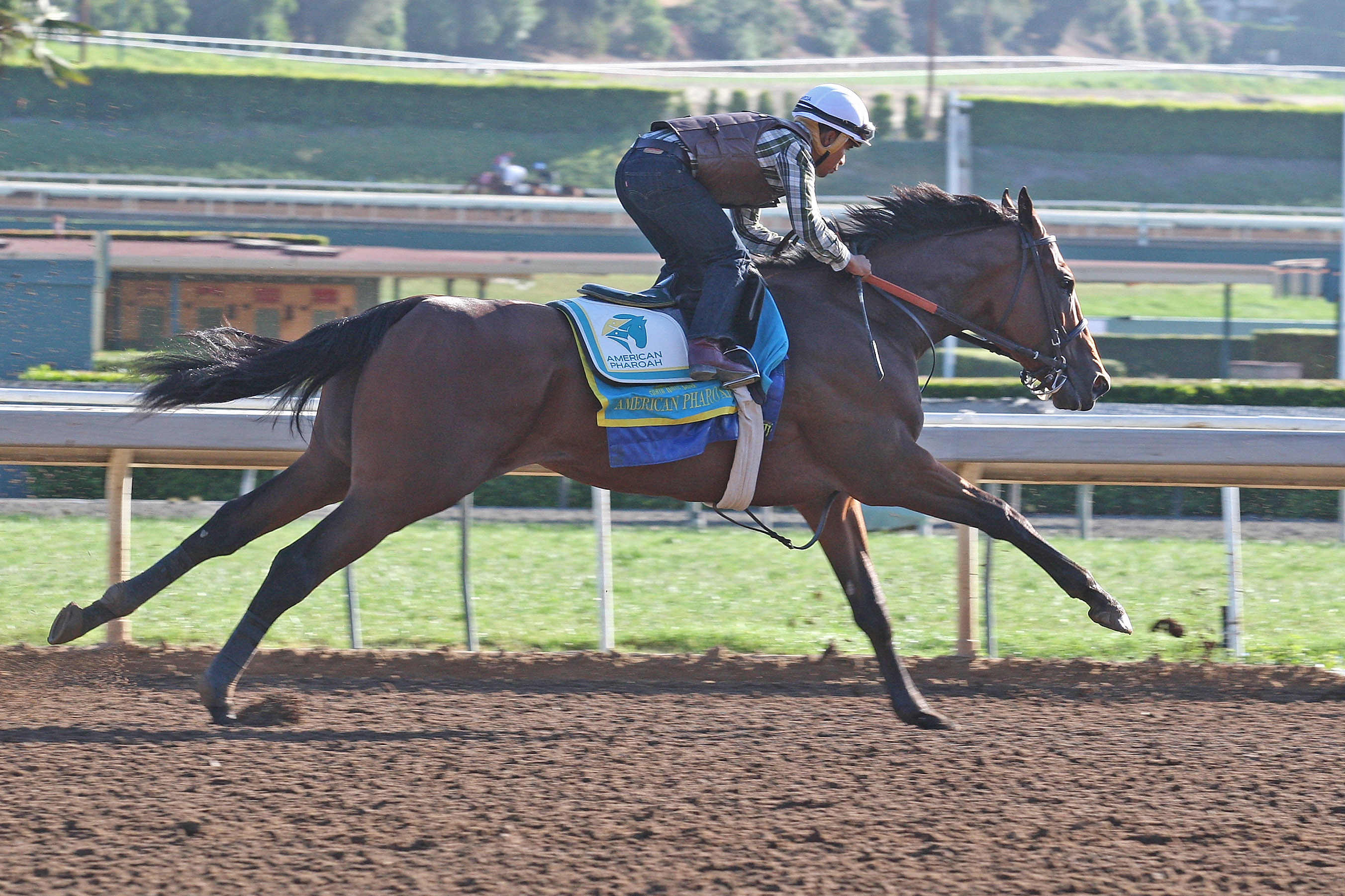 American Pharoah works Santa Anita July 12