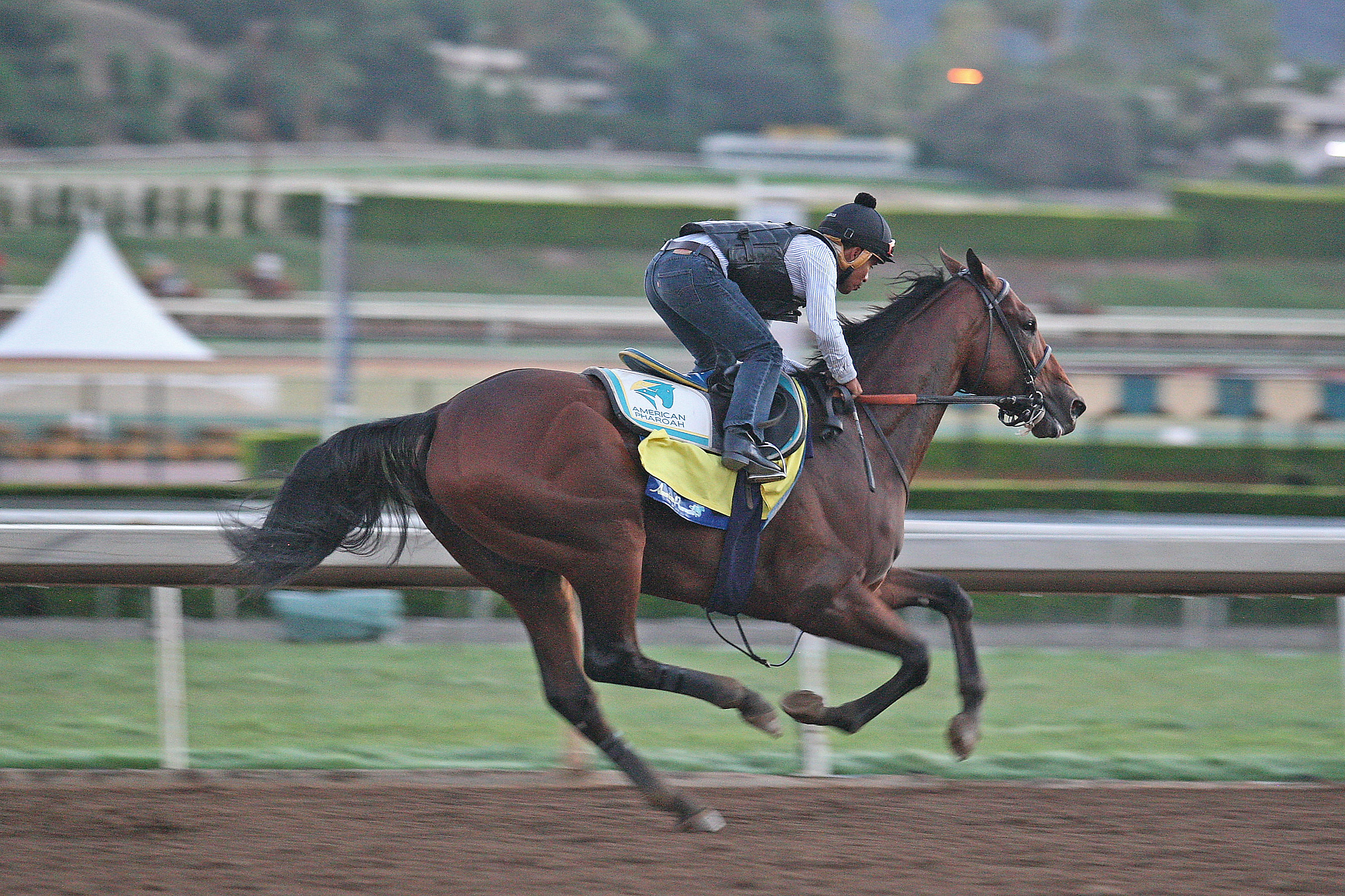 American Pharoah