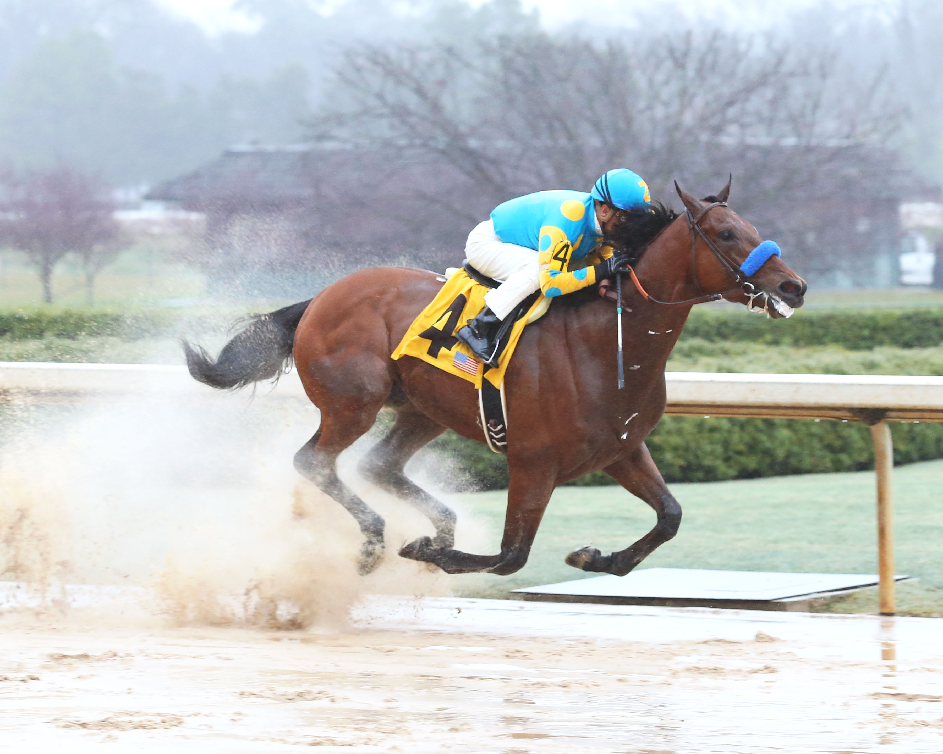 American Pharoah Marquee