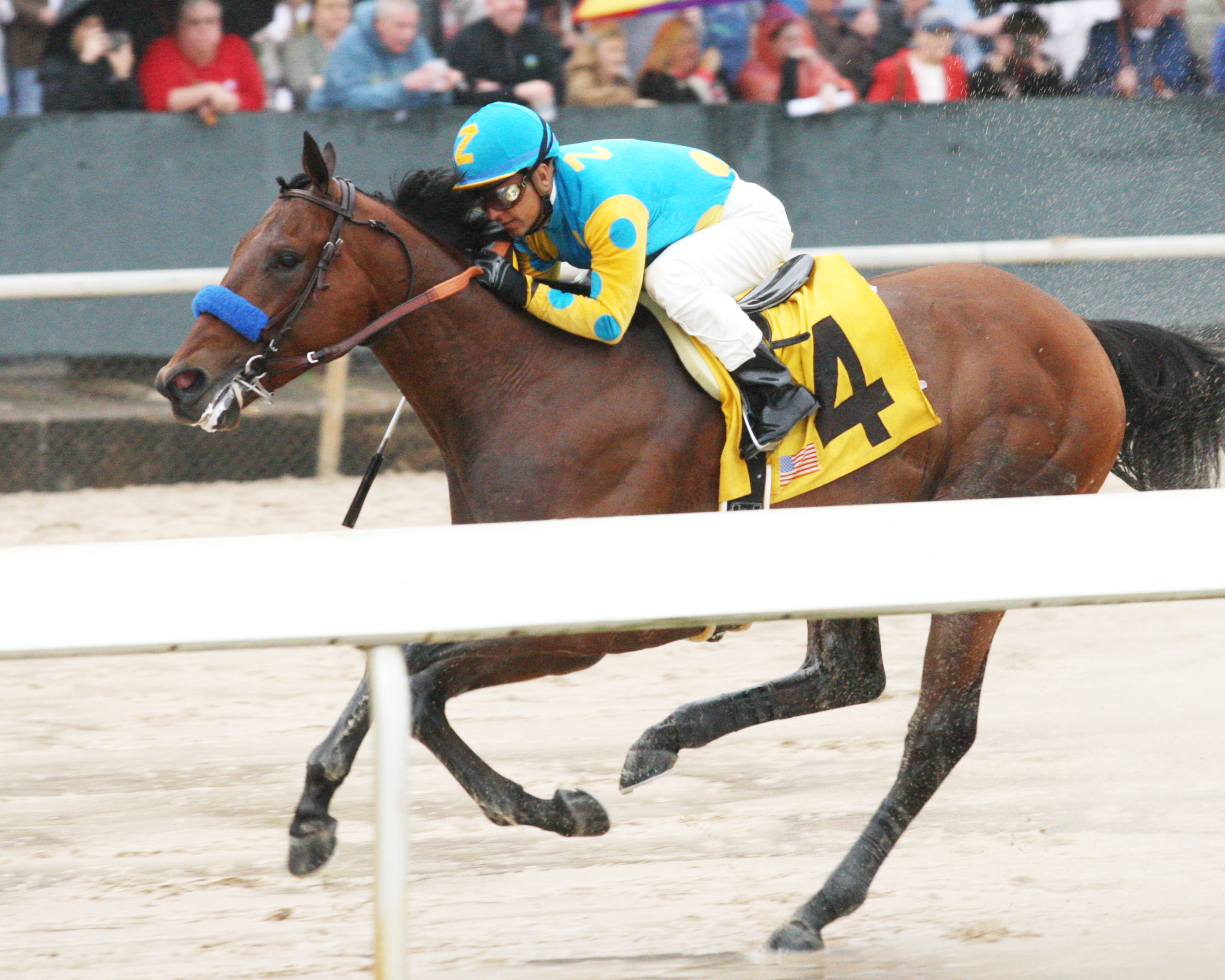 American Pharoah 3-14-2015