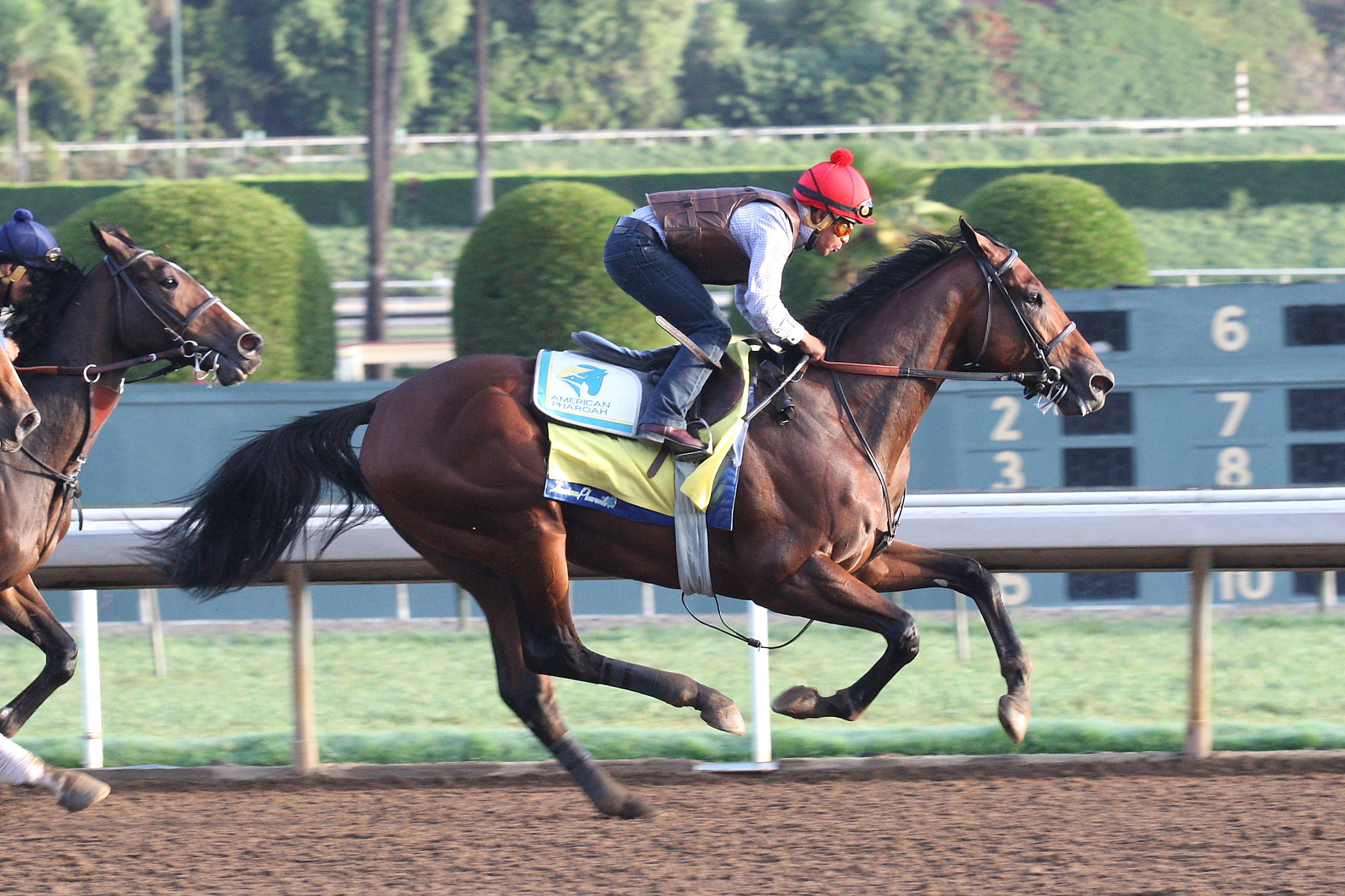 American Pharoah