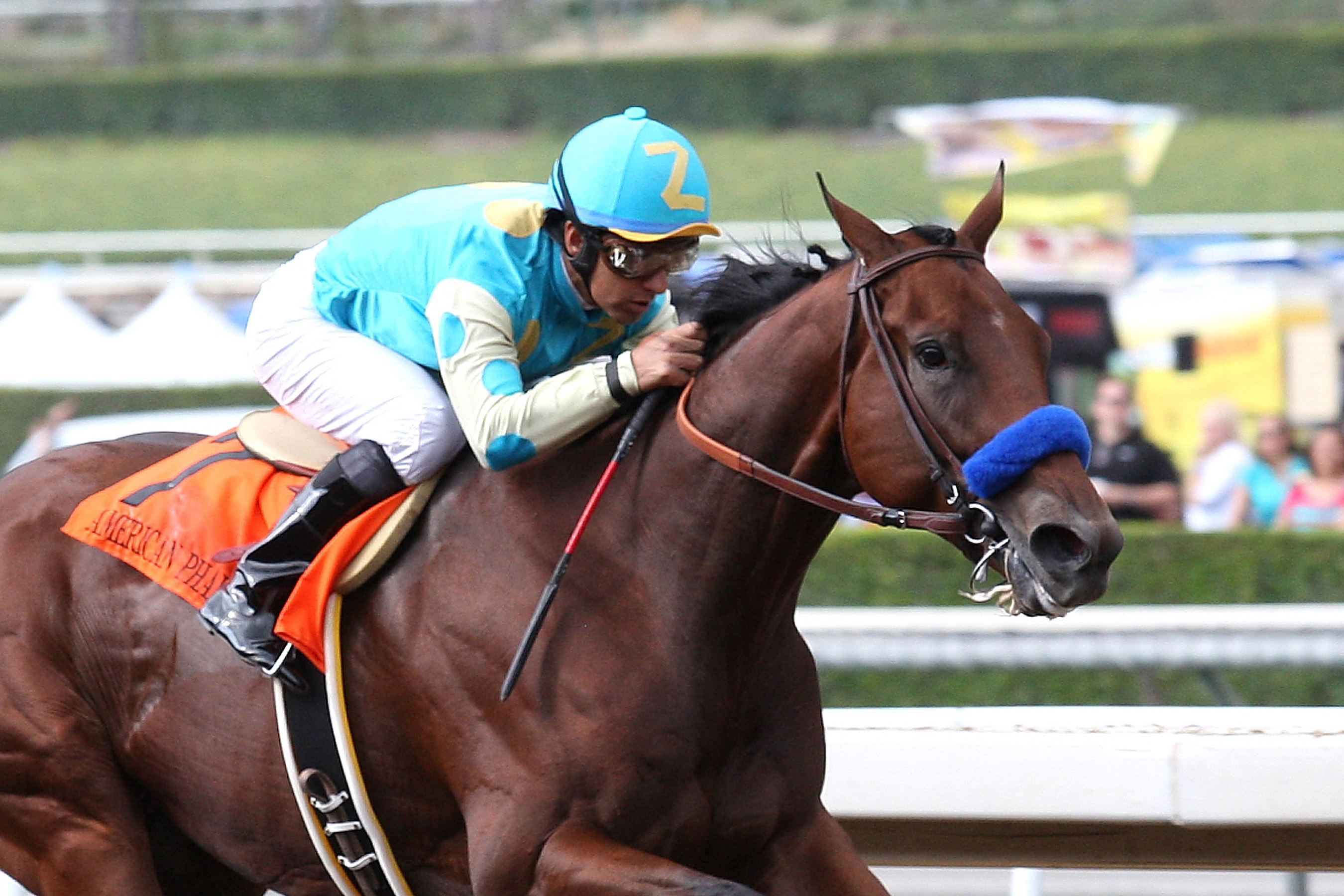 American Pharoah wins 2014 FrontRunner