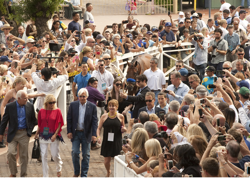 American Pharoah 6-27-2015