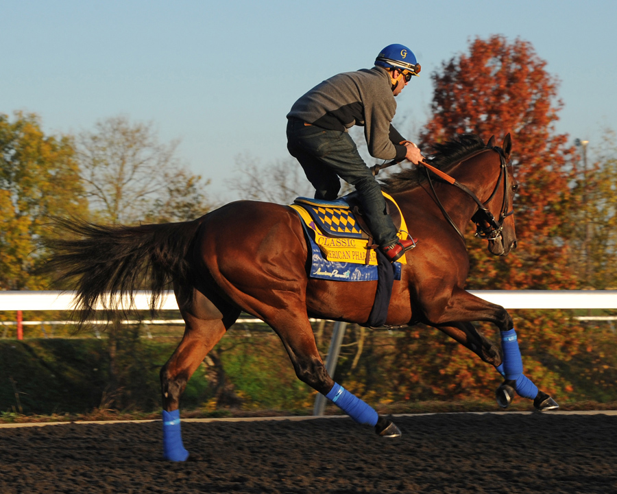 American Pharoah at Keeneland on Oct. 29
