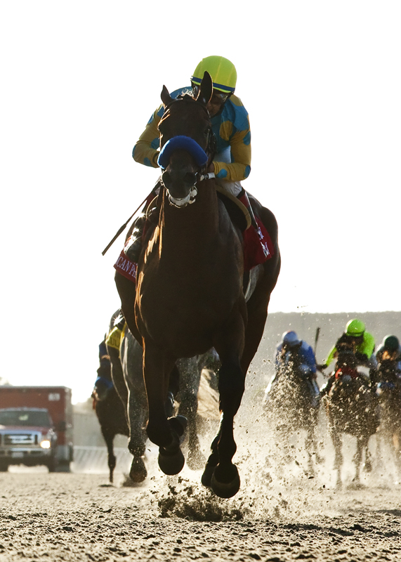 American Pharoah