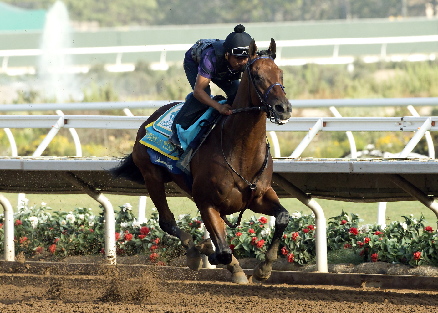 American Pharoah works Aug 16 Del Mar