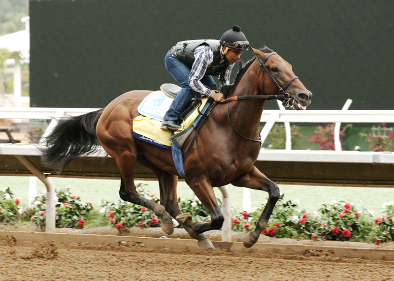 American Pharoah works at Del Mar