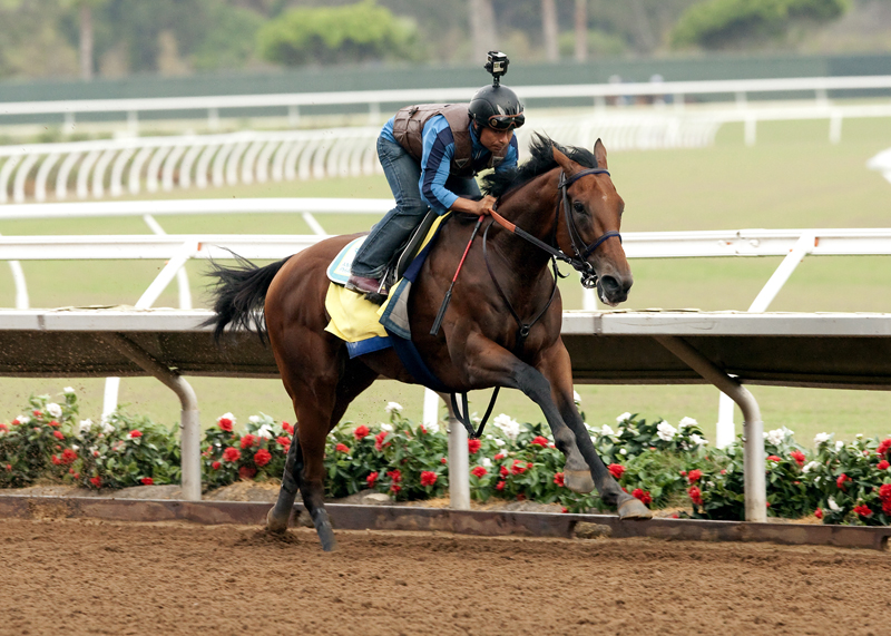 American Pharoah