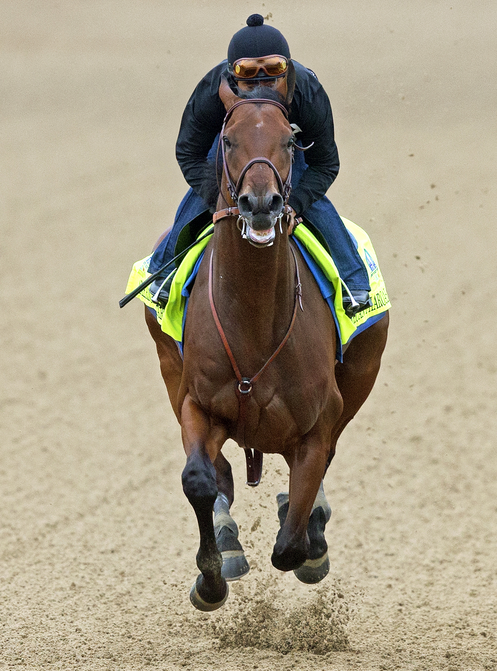 American Pharoah 4-26-15