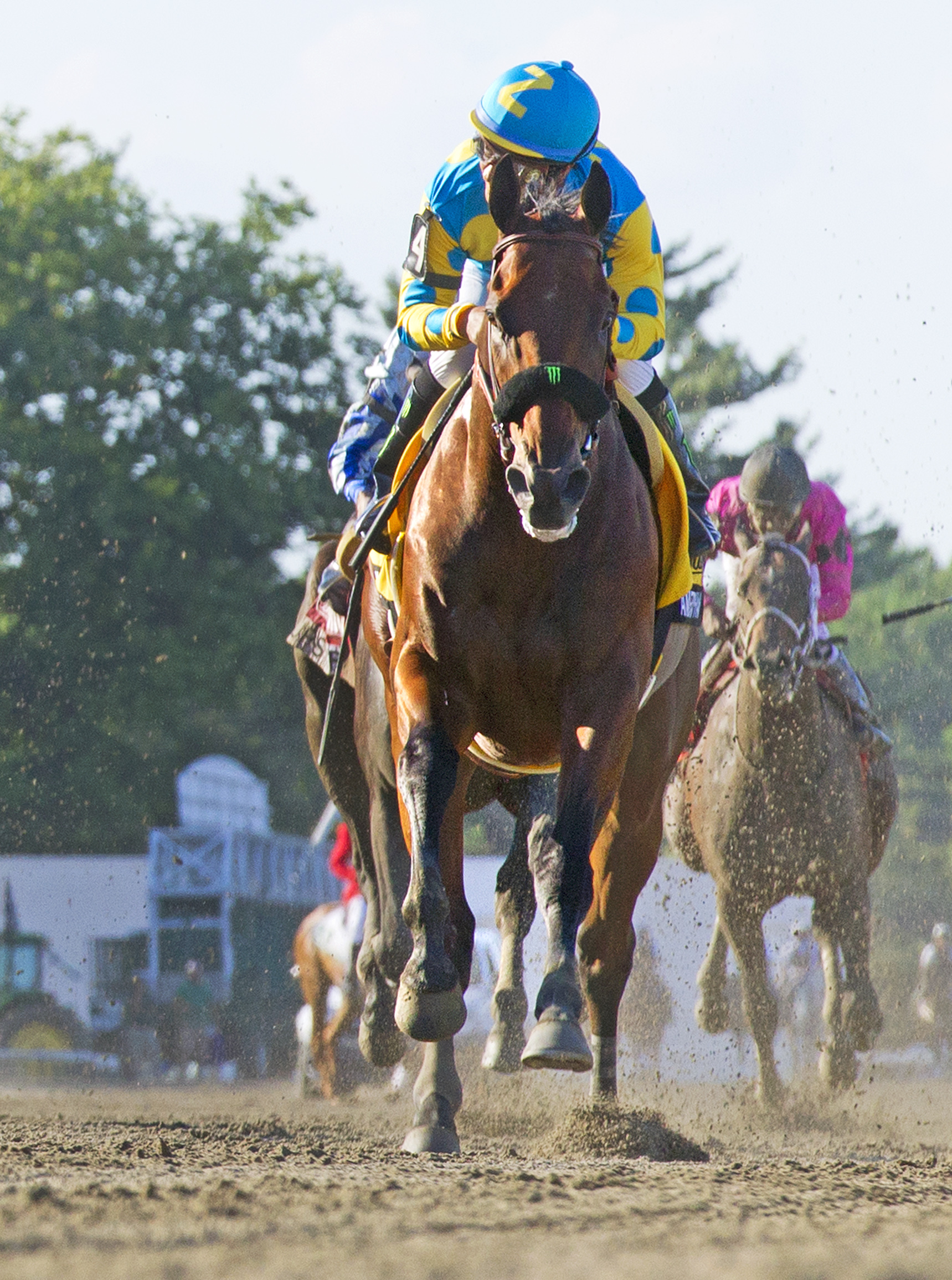 American Pharoah wins 2015 Haskell