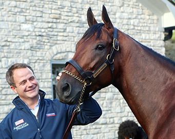 American Pharoah stud fee block