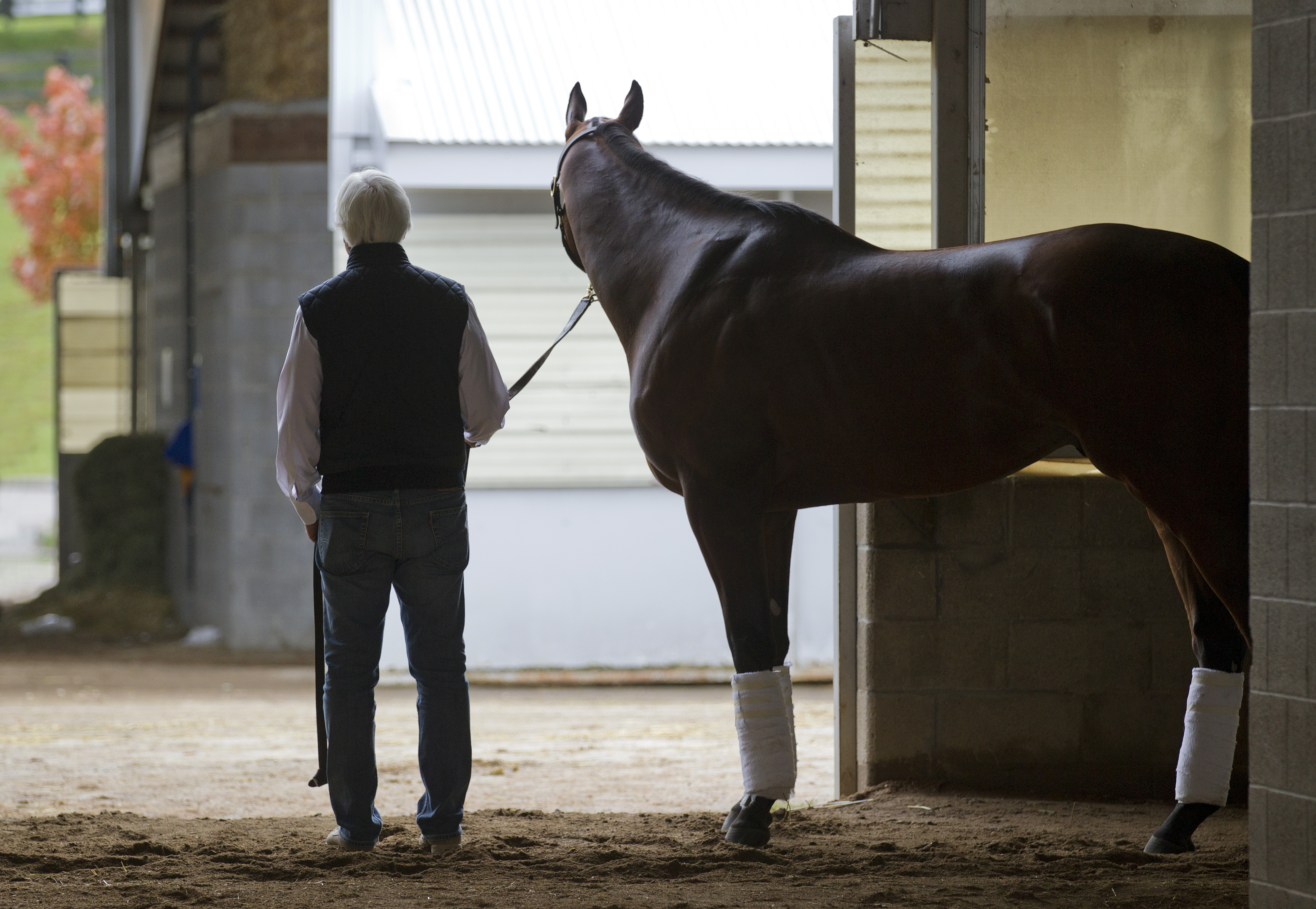 American Pharoah and Bob Baffert
