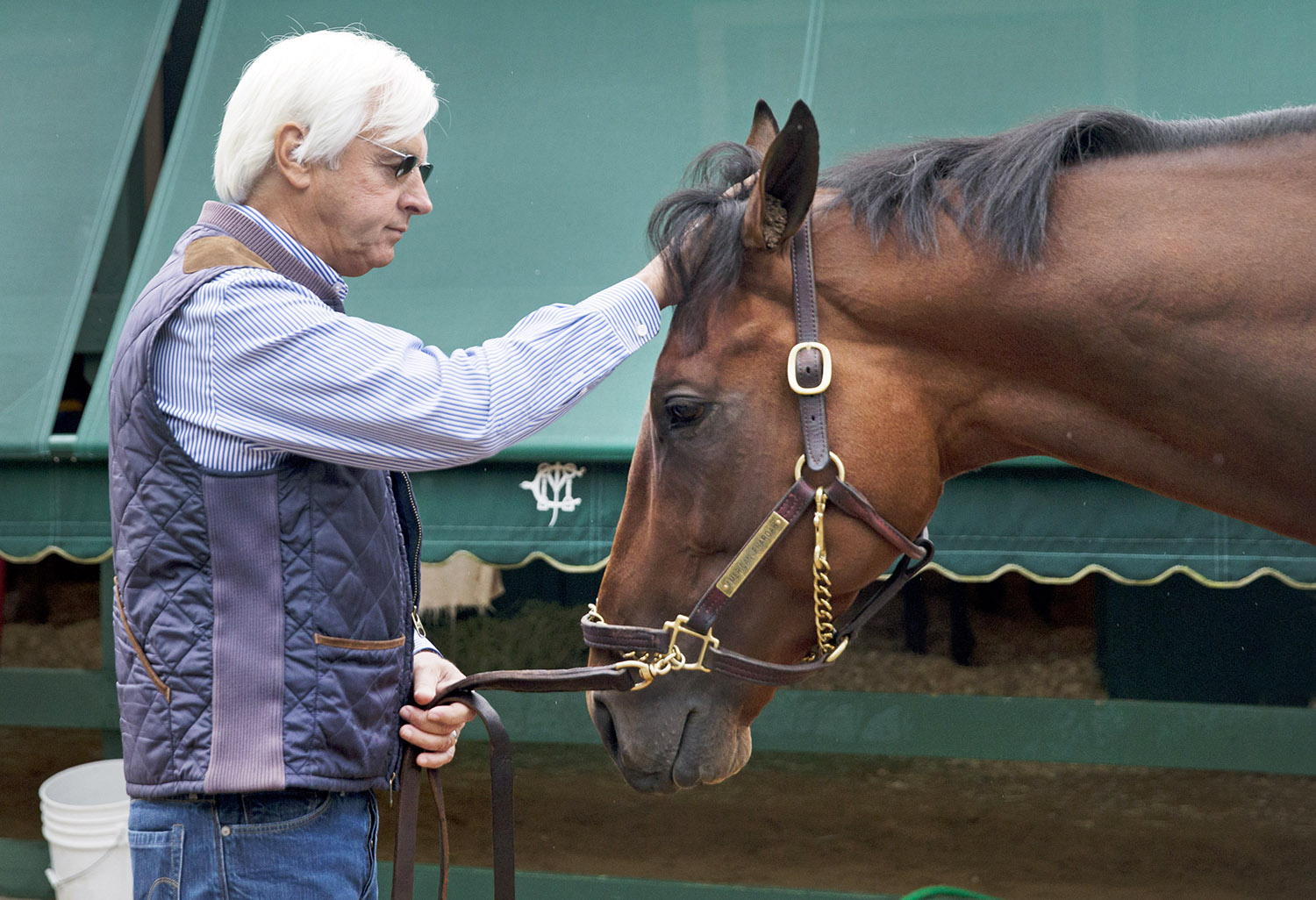 American Pharoah and Bob Baffert in 2015