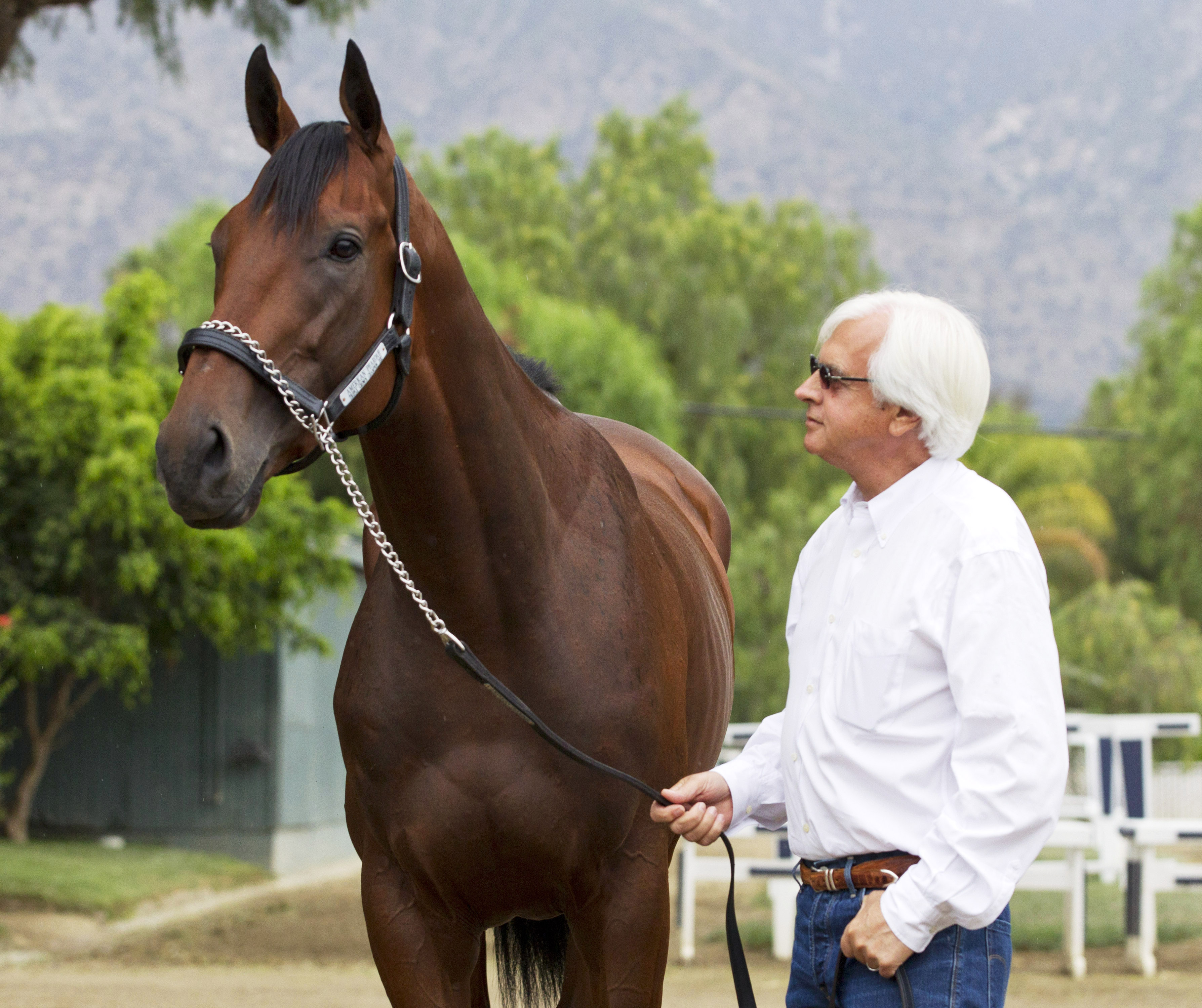 American Pharoah with trainer Bob Baffert on June 30