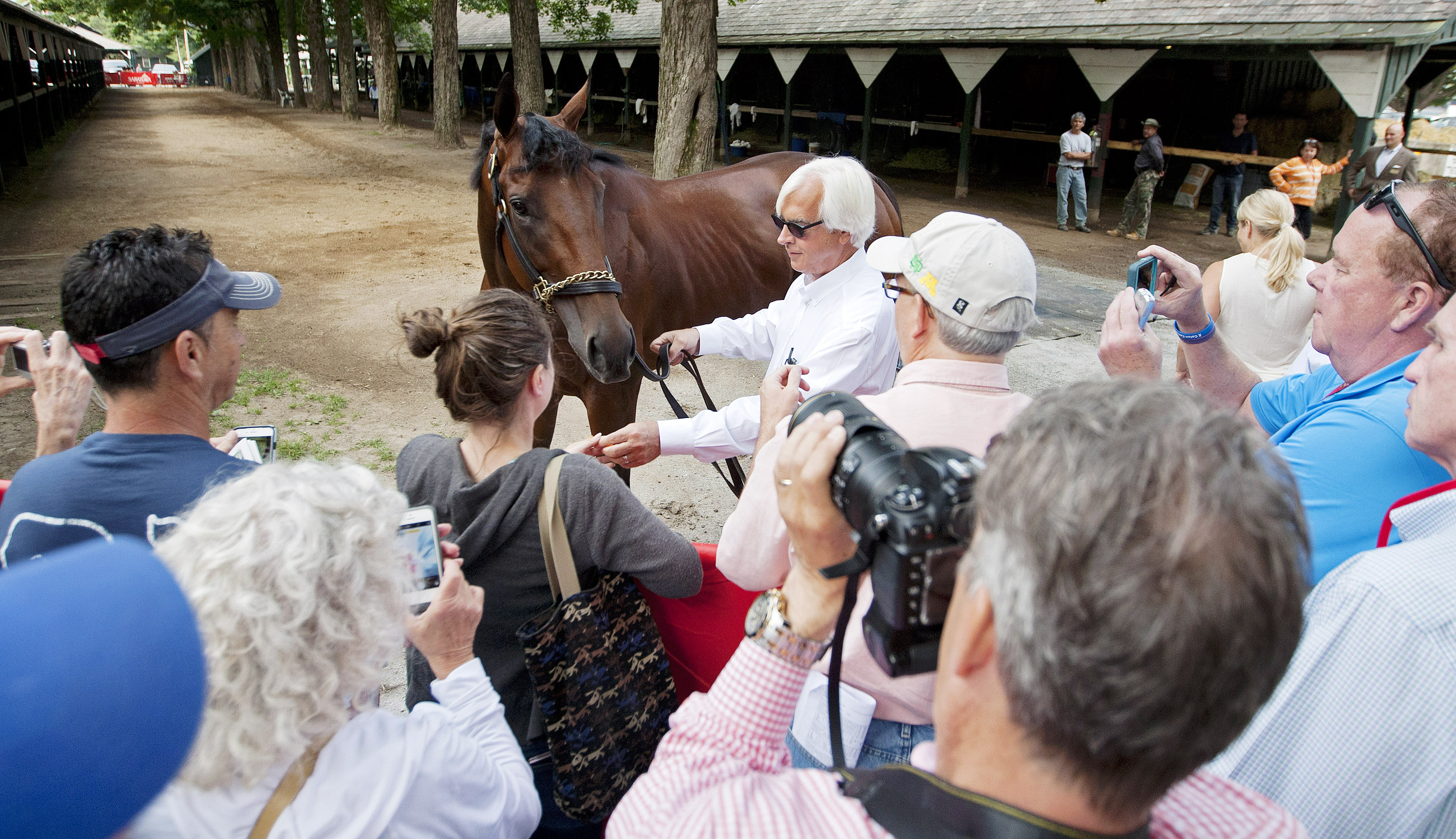 American Pharoah with Bob Baffert the day after the Travers