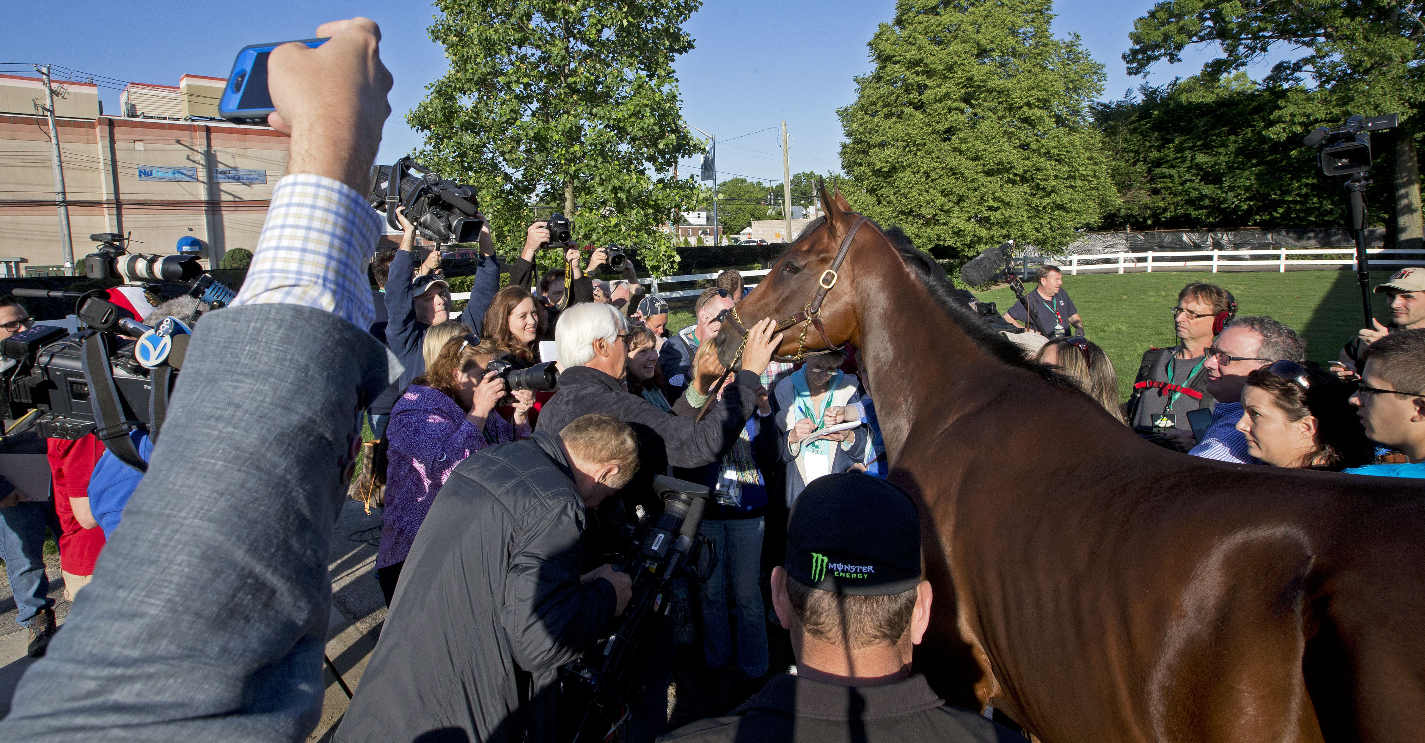 American Pharoah with media after Belmont win