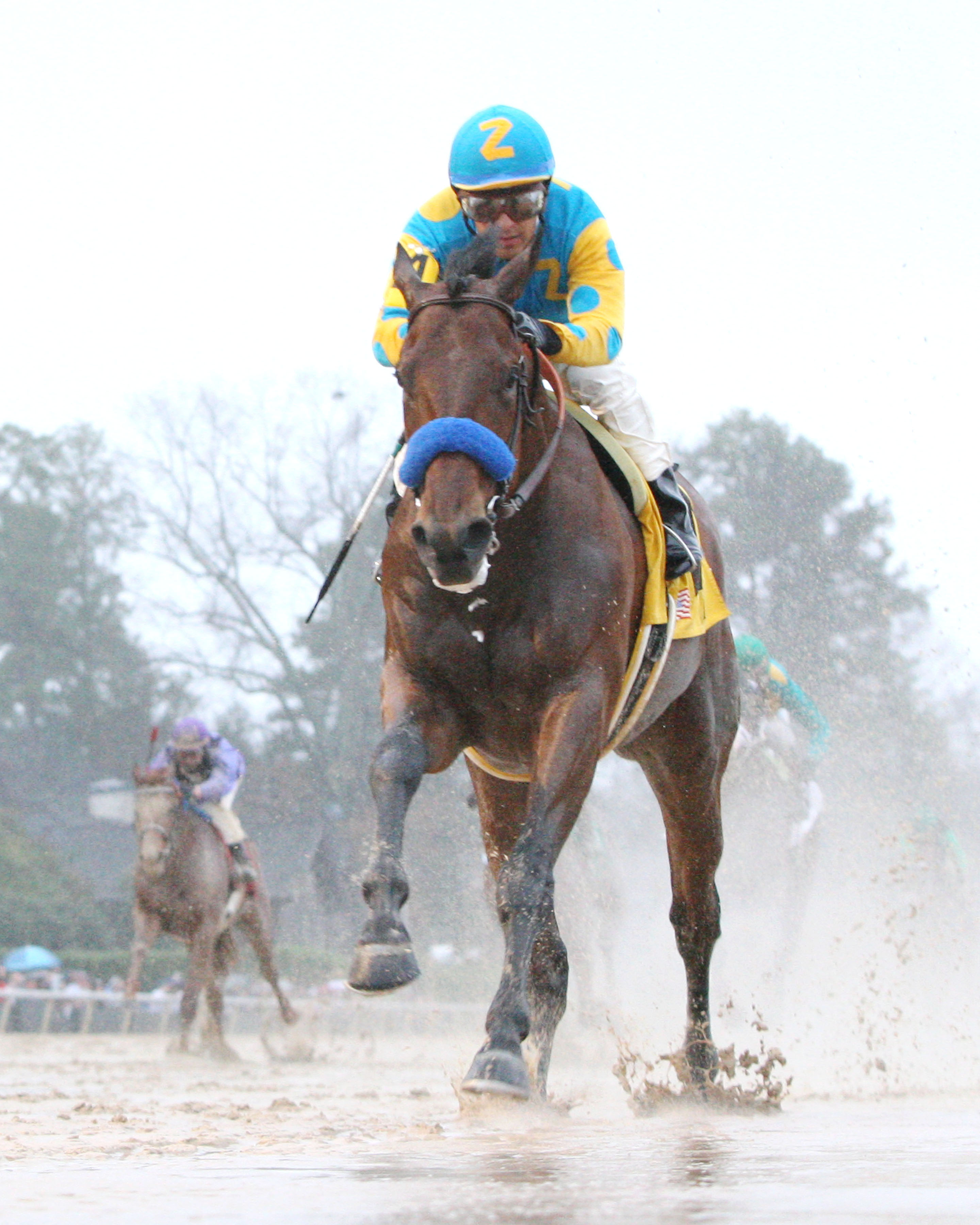 American Pharoah wins the Rebel