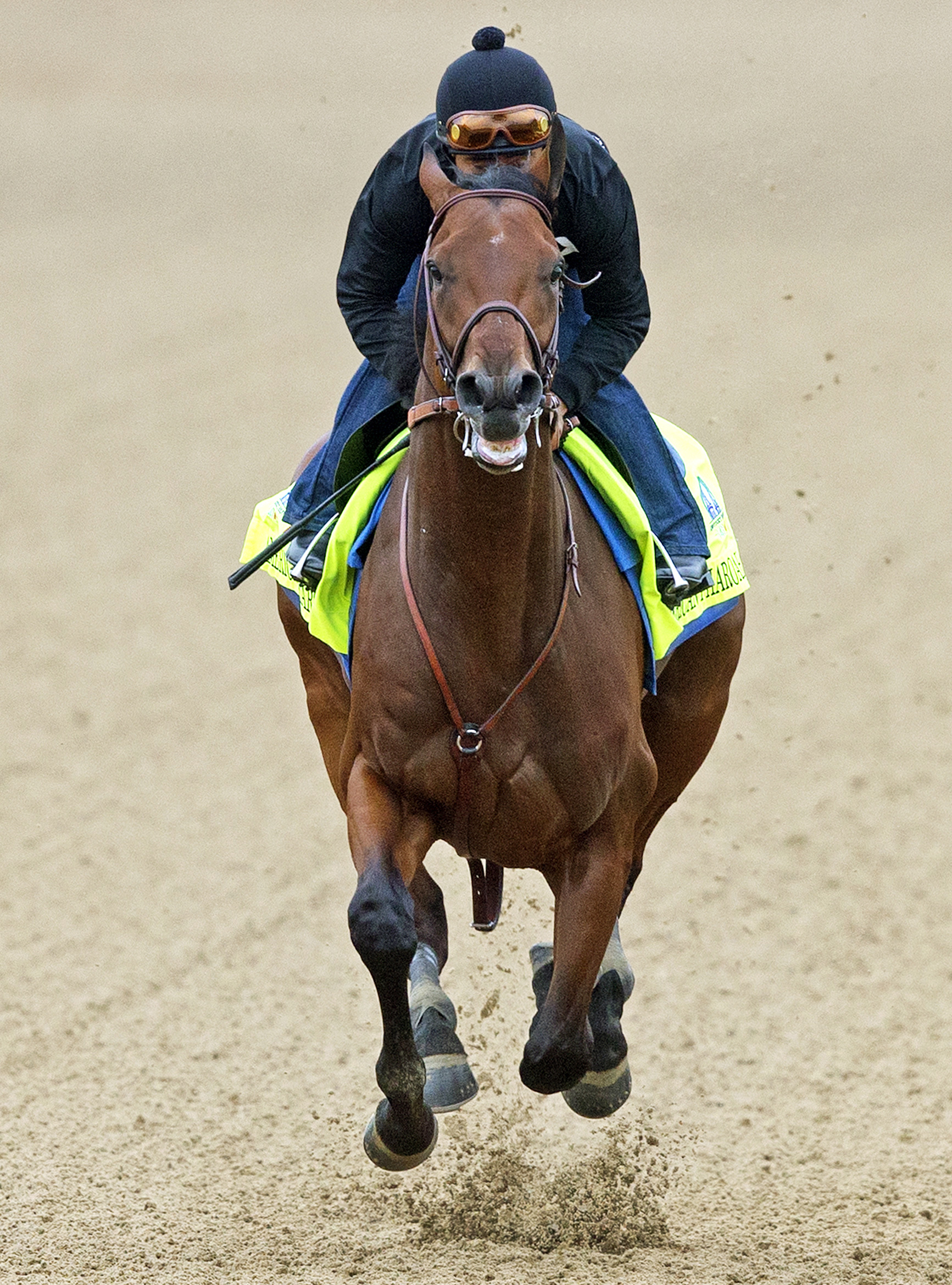 American Pharoah trains at Churchill April 26