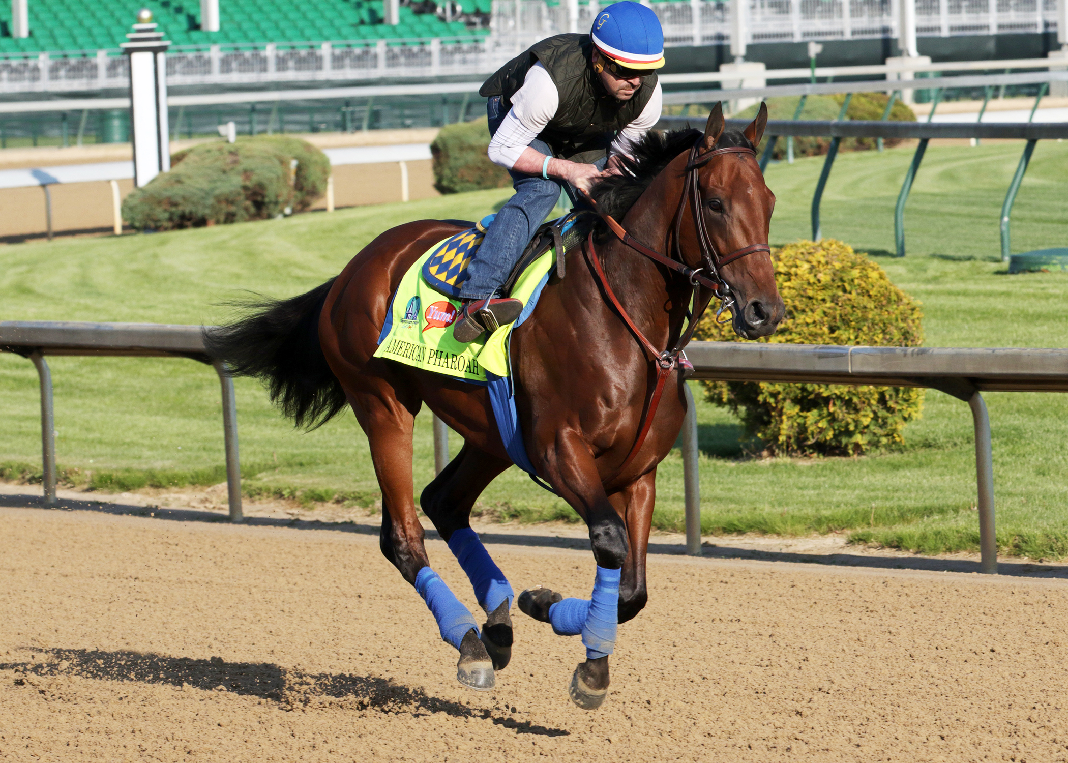 American Pharoah trains at Churchill April 30