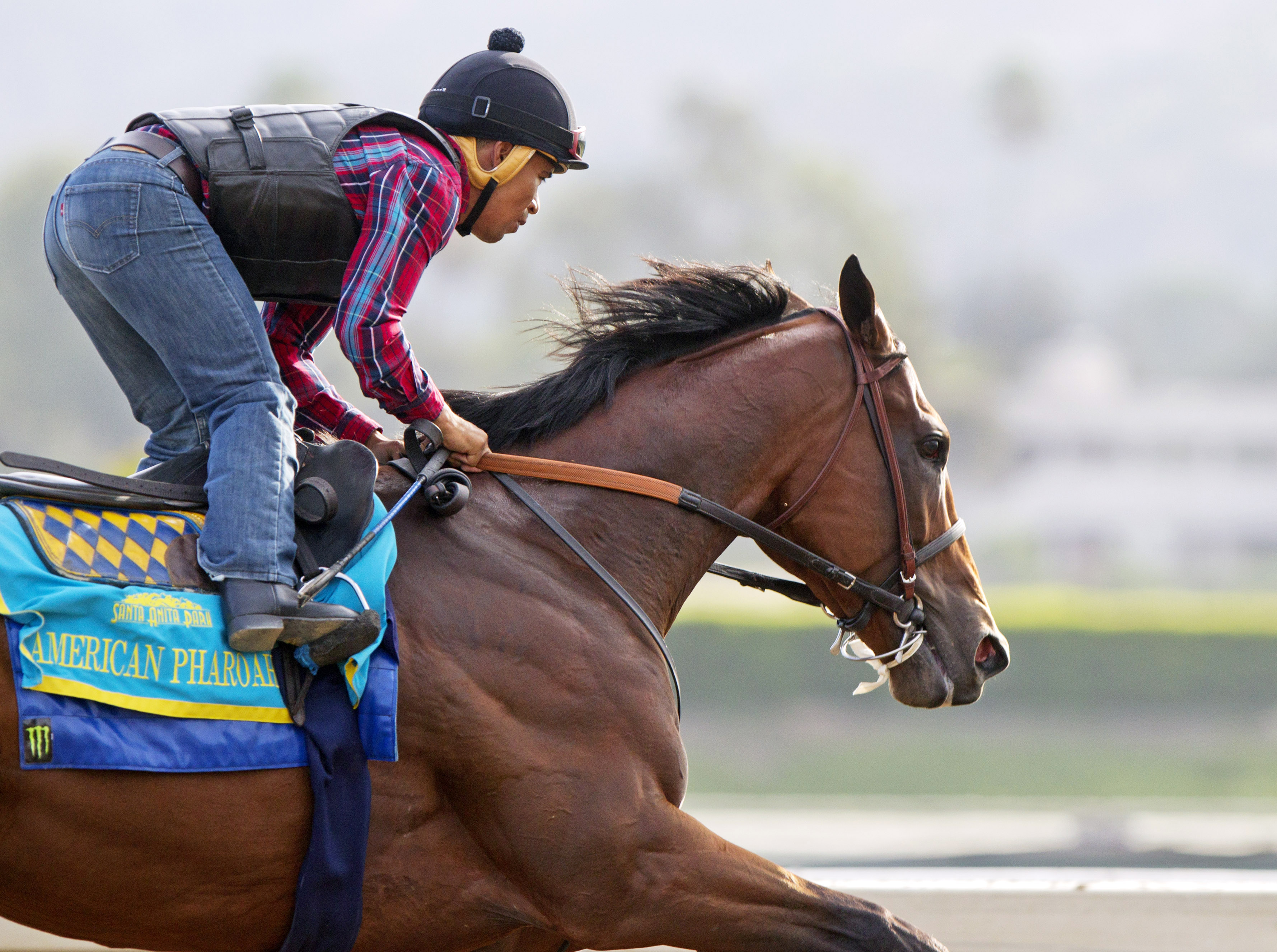American Pharoah trains at Santa Anita on June 29