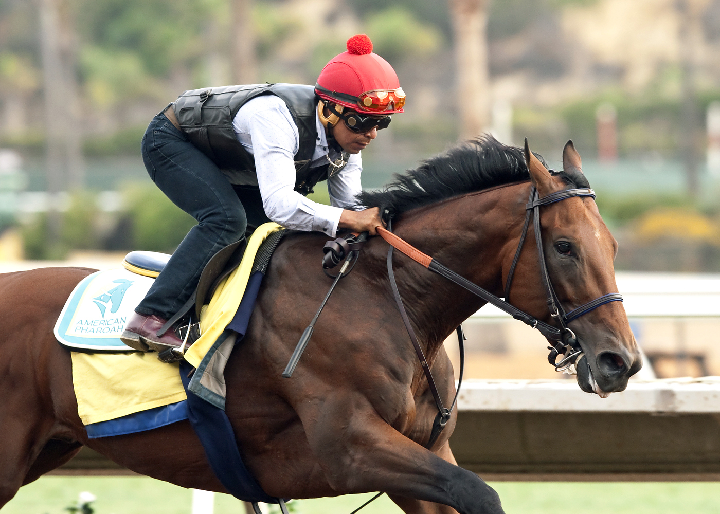 American Pharoah at Del Mar