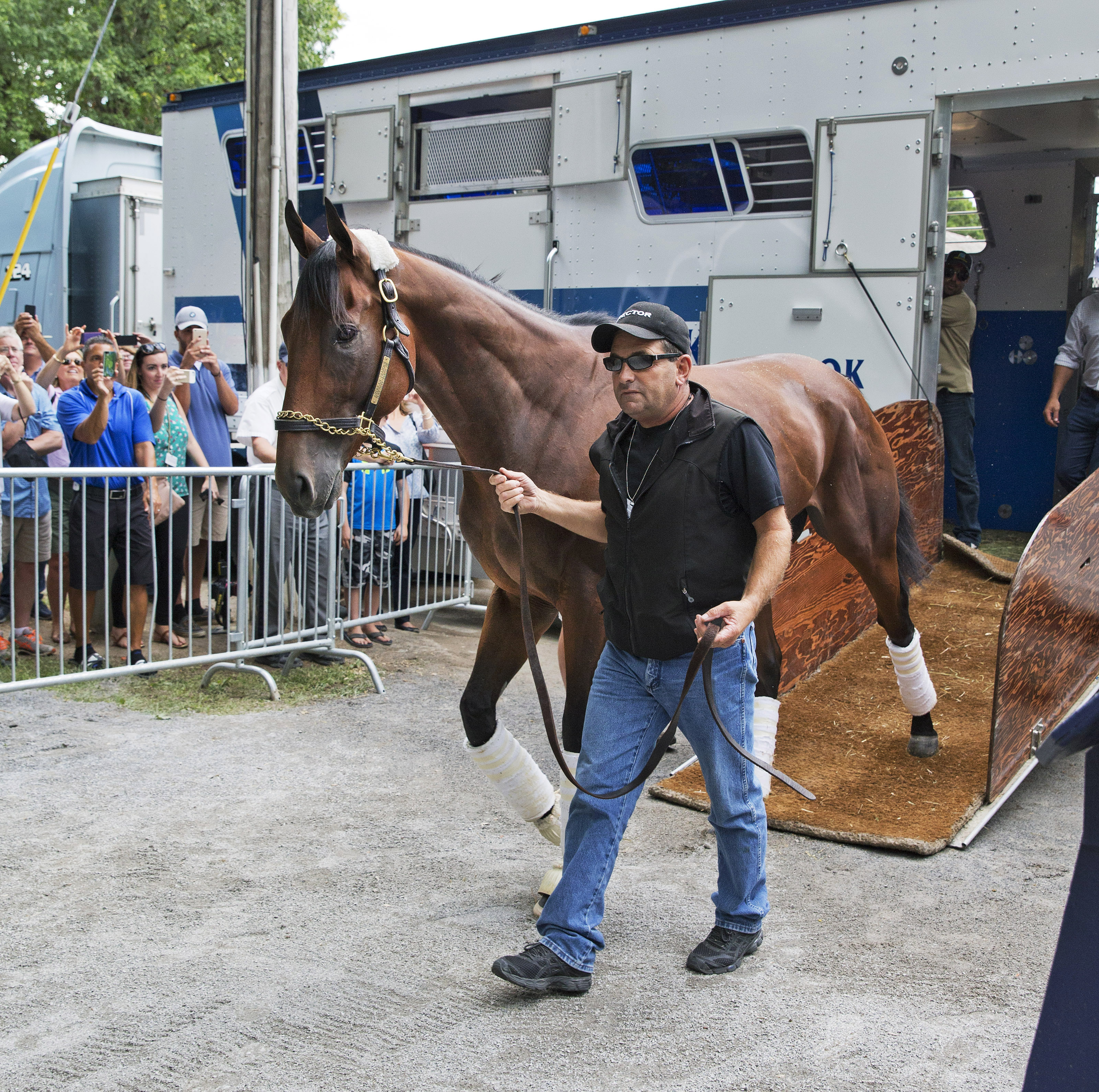 American Pharoah arrives at Saratoga Race Course