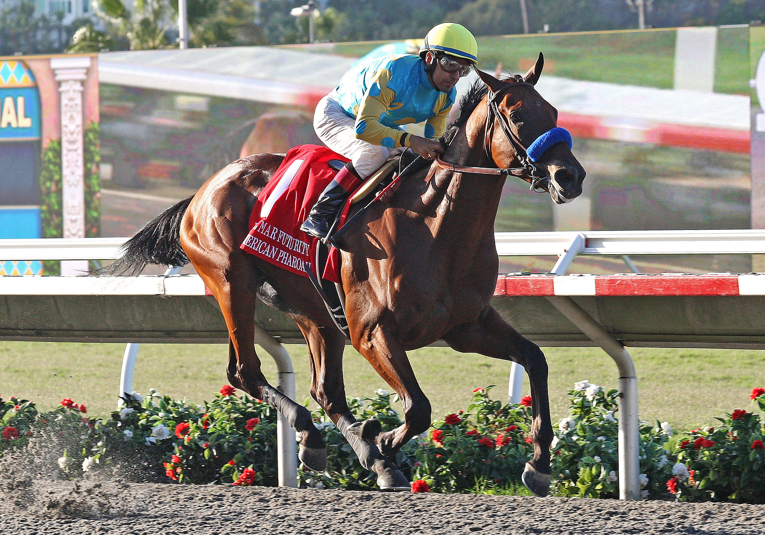 American Pharoah wins the Del Mar Futurity