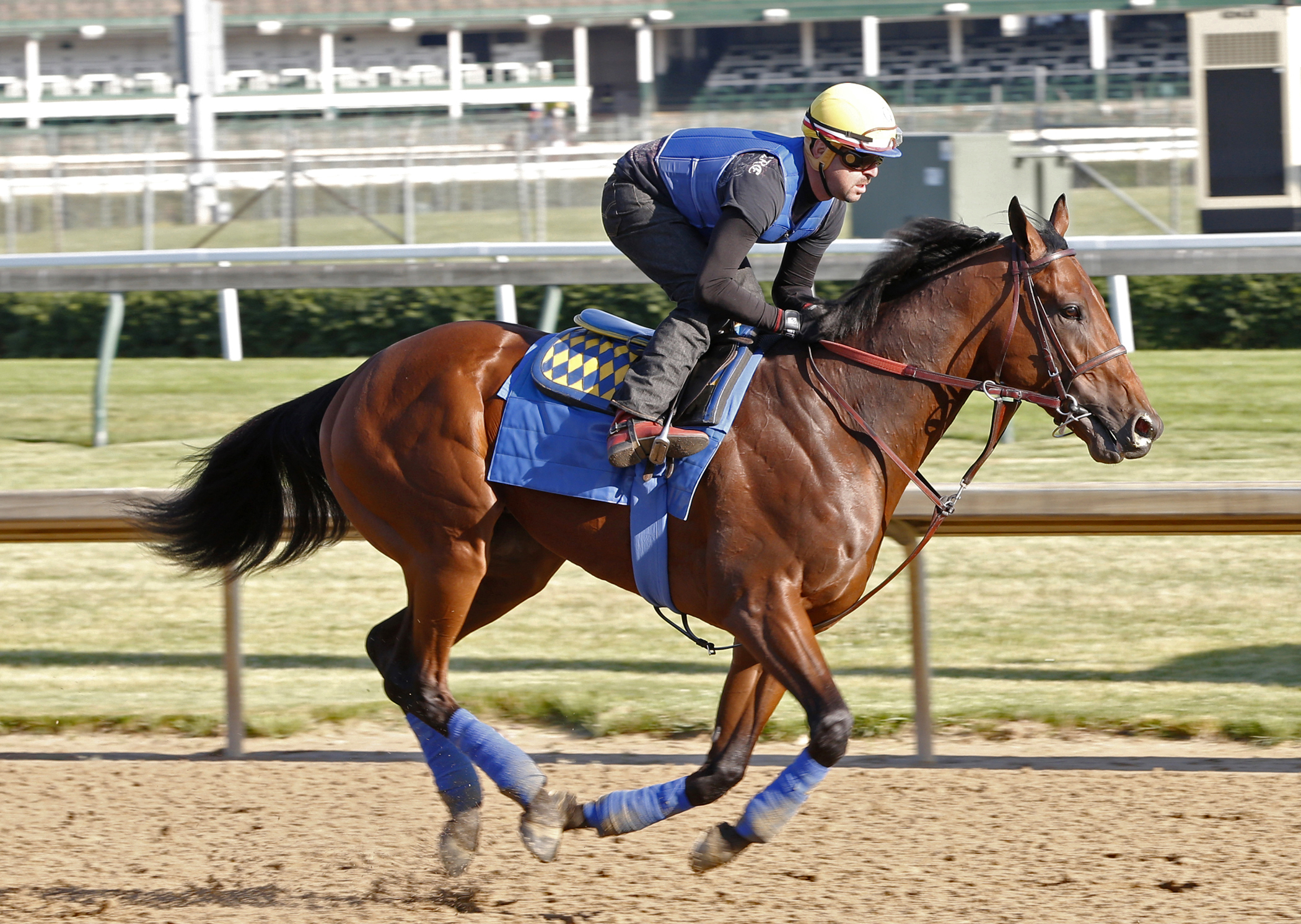 American Pharoah gallops at Churchill May 22