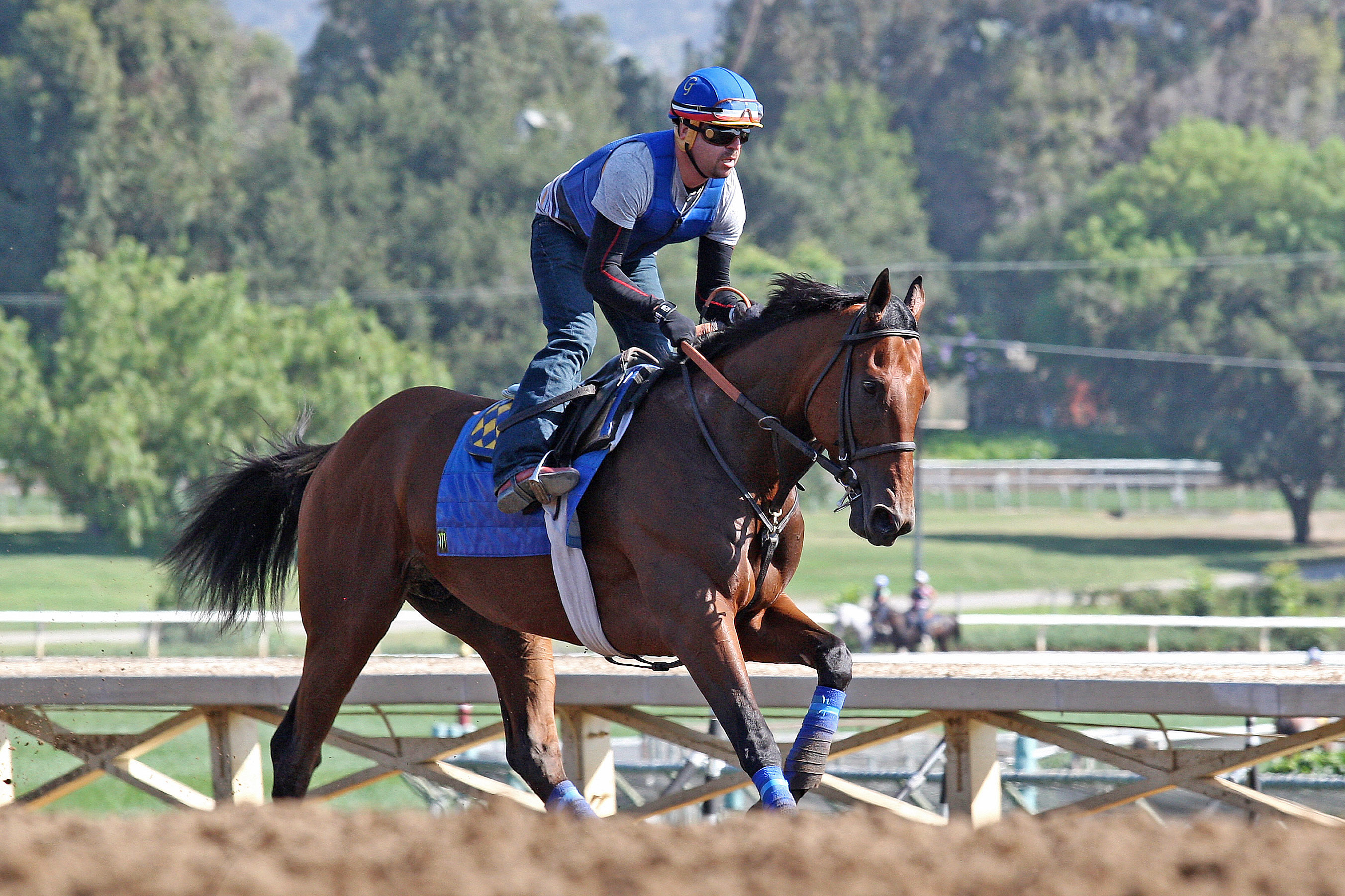 American Pharoah at Santa Anita on June 22