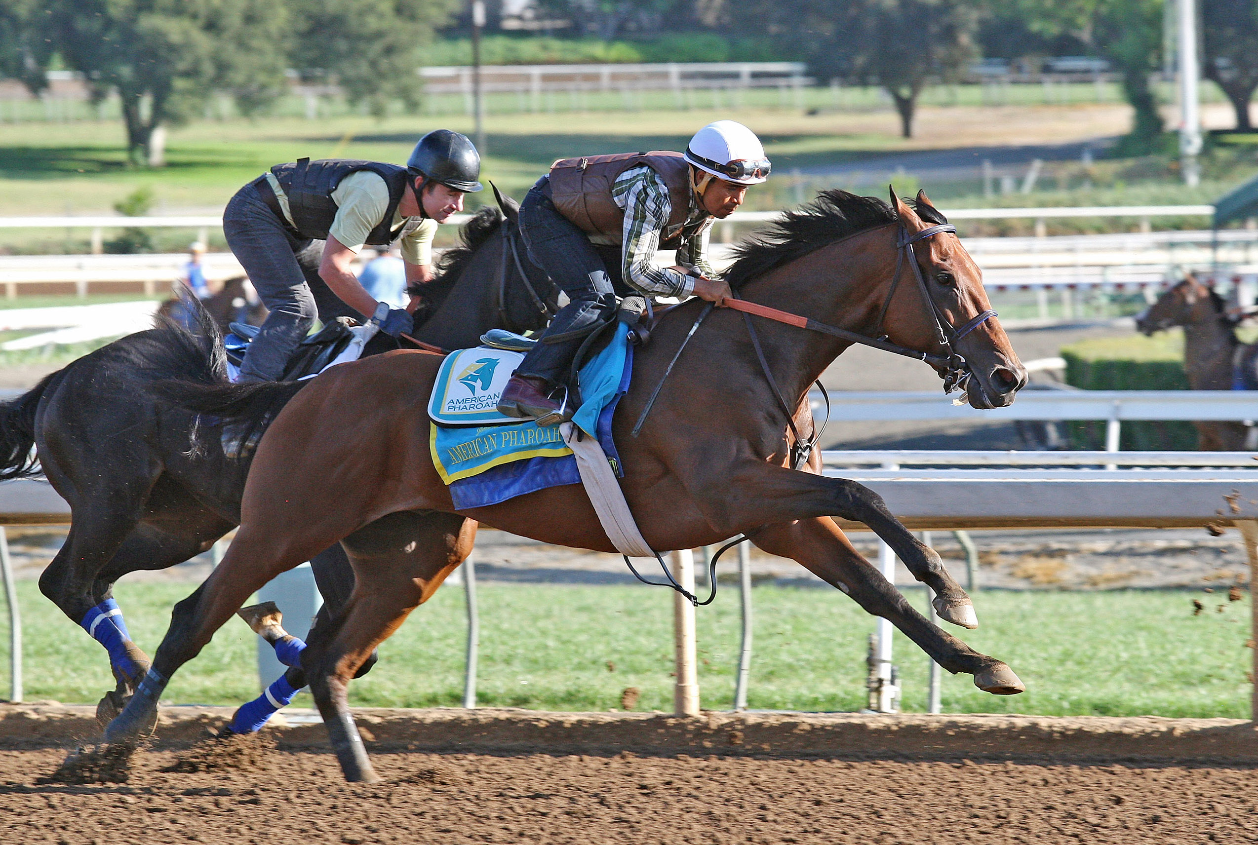 American Pharoah training at Santa Anita on July 12