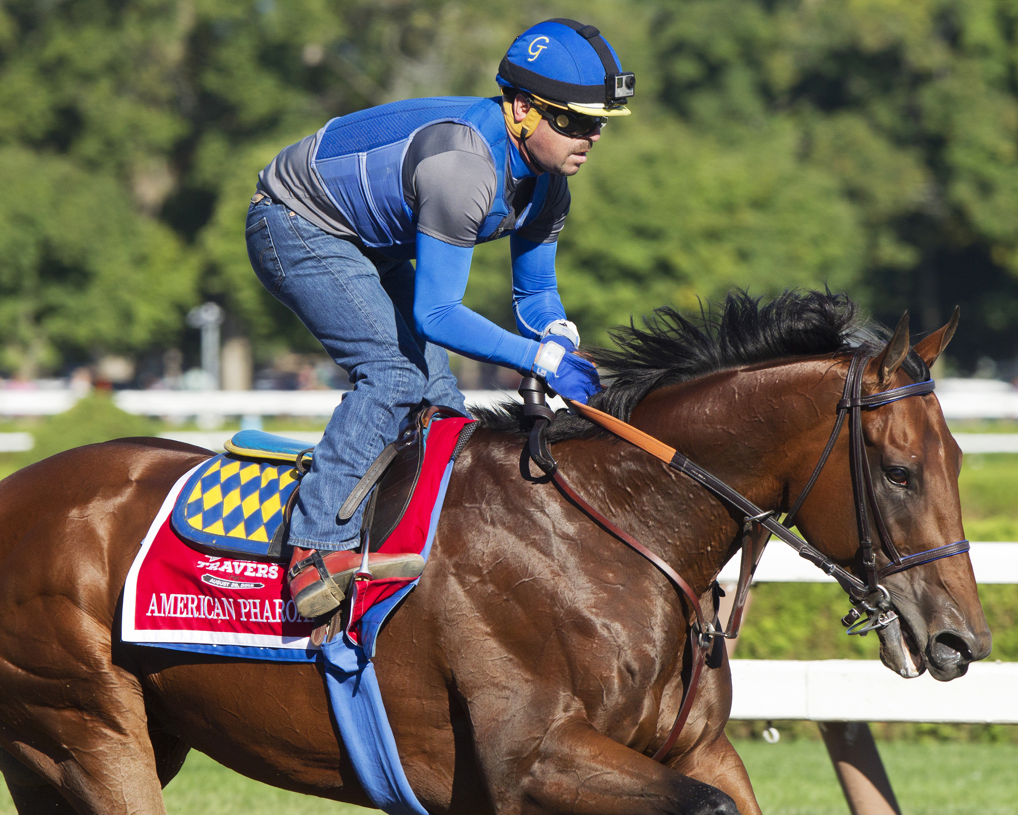 American Pharoah gallops on Aug. 28