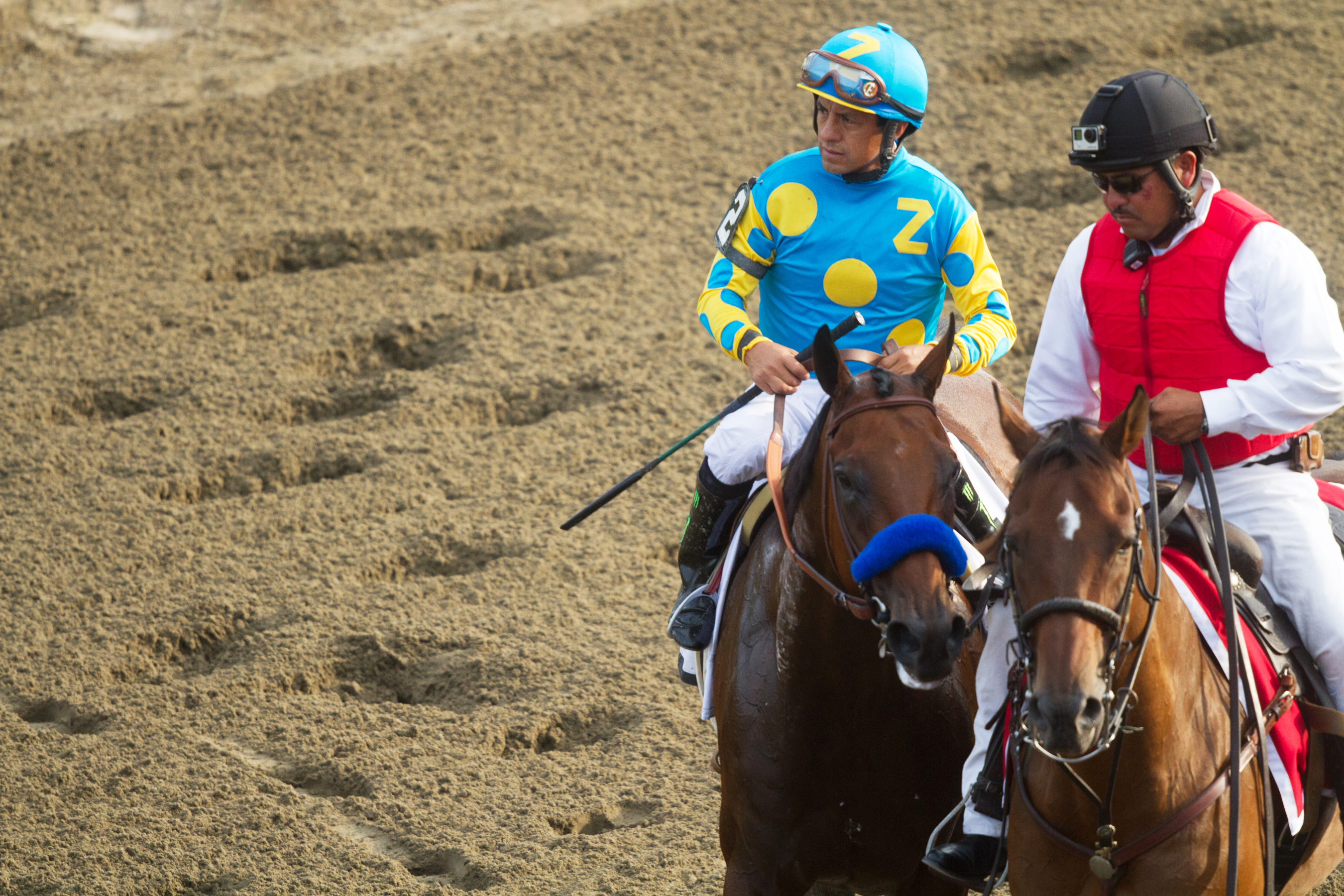 American Pharoah after the Travers